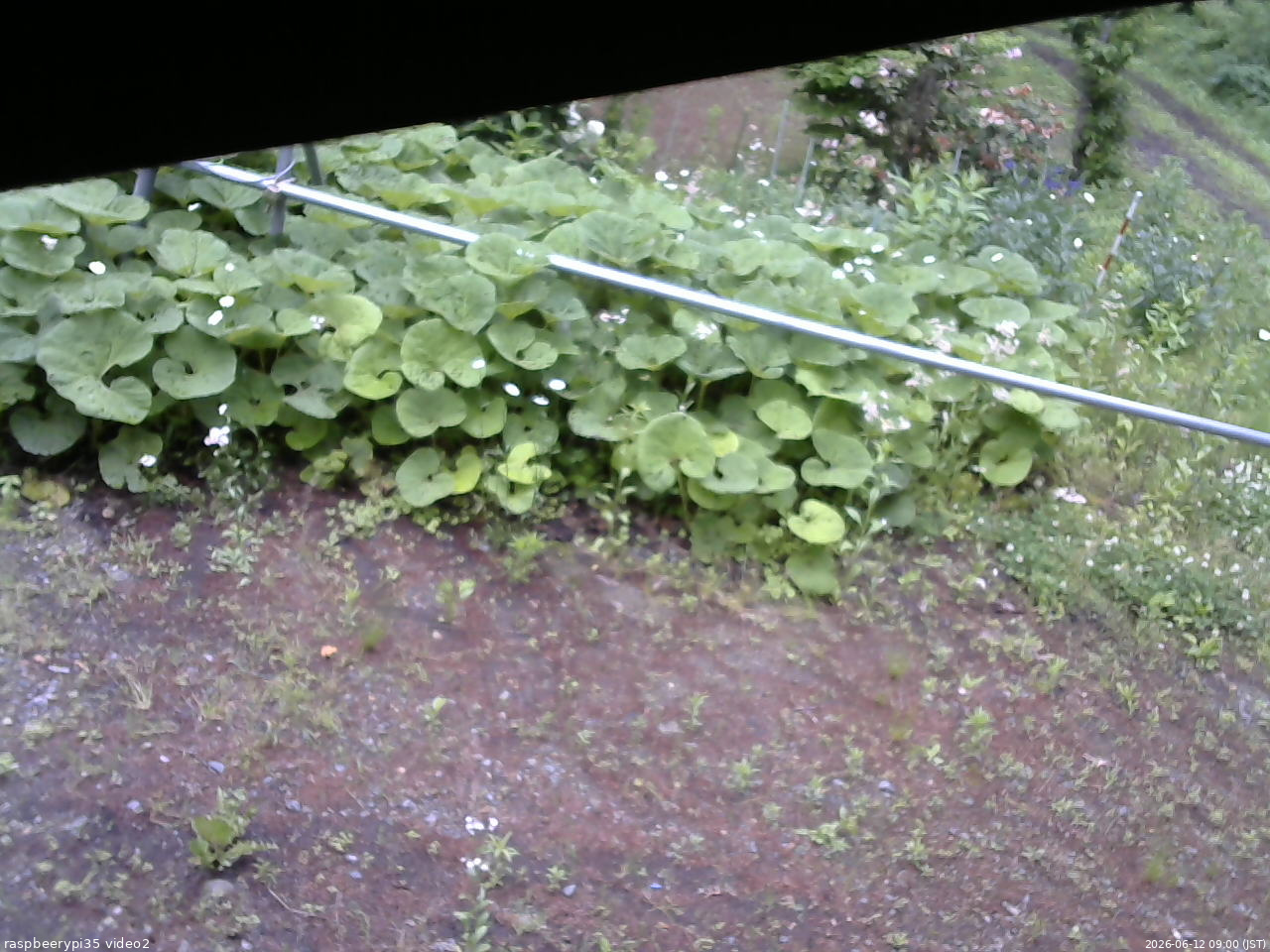 長野県菅平高原 ゆたか山荘 駐車場 2026/06/12 09:00