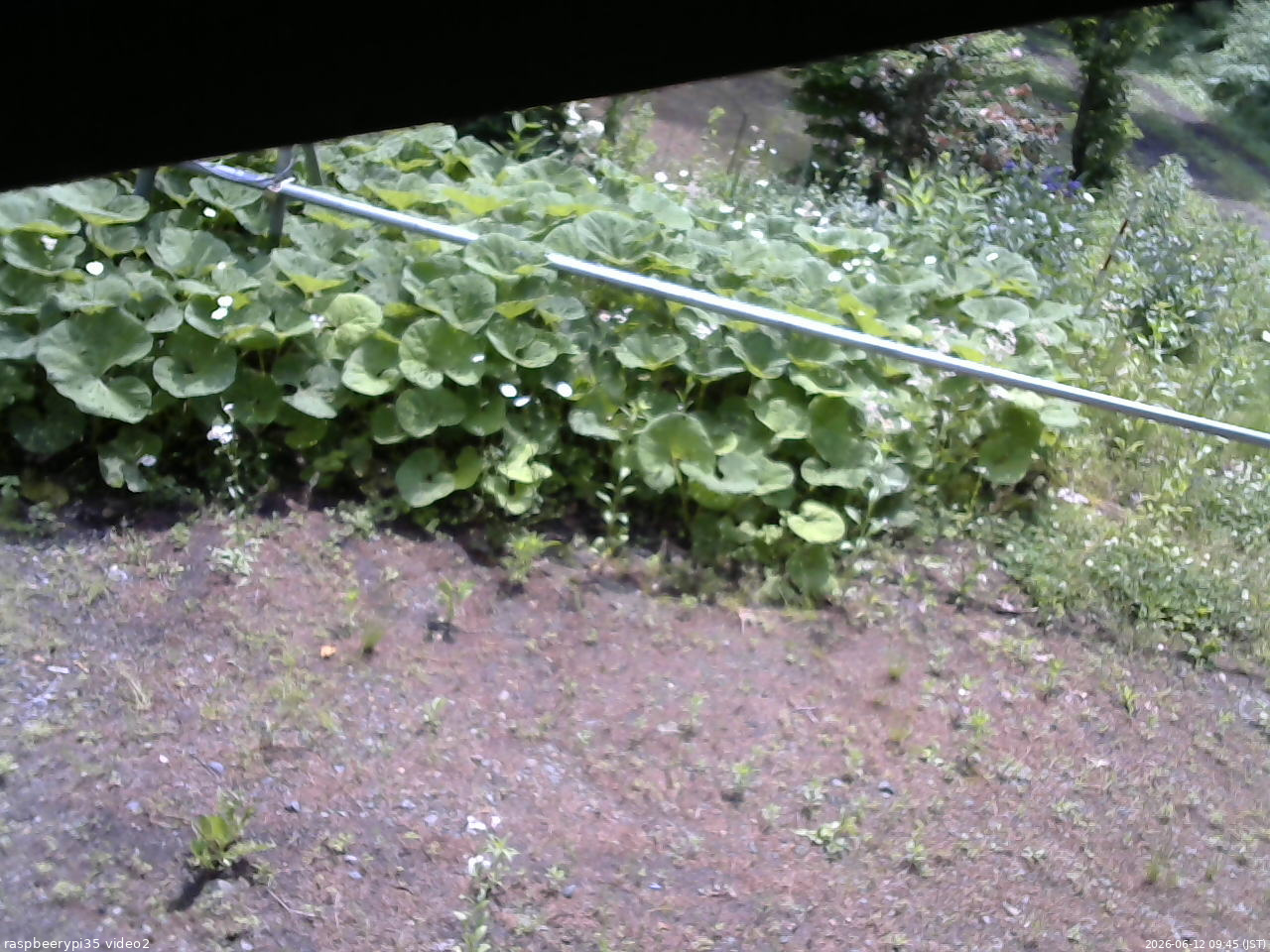 長野県菅平高原 ゆたか山荘 駐車場 2026/06/12 09:45