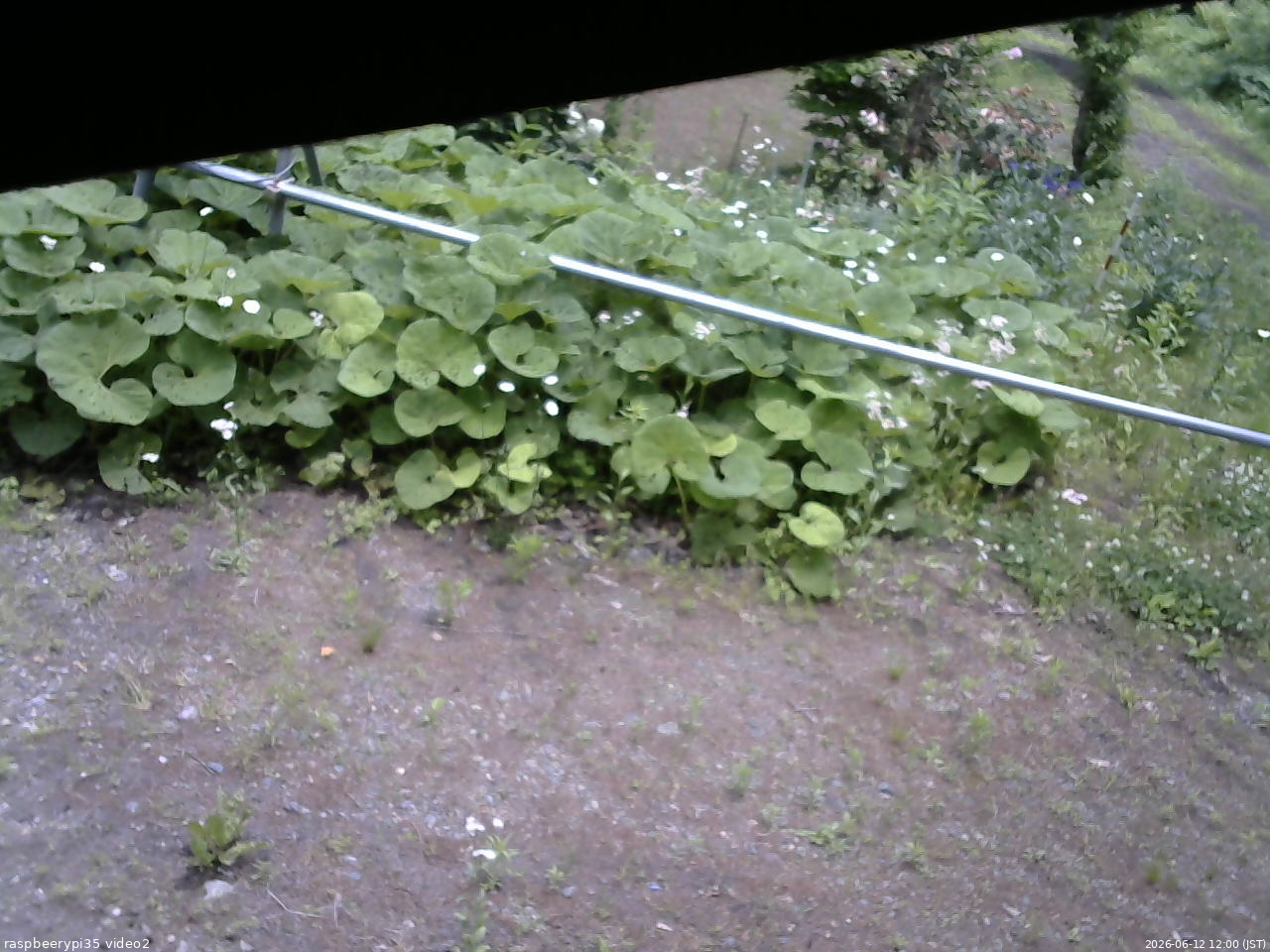 長野県菅平高原 ゆたか山荘 駐車場 2026/06/12 12:00