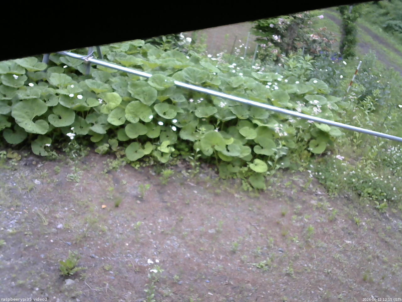 長野県菅平高原 ゆたか山荘 駐車場 2026/06/12 12:15