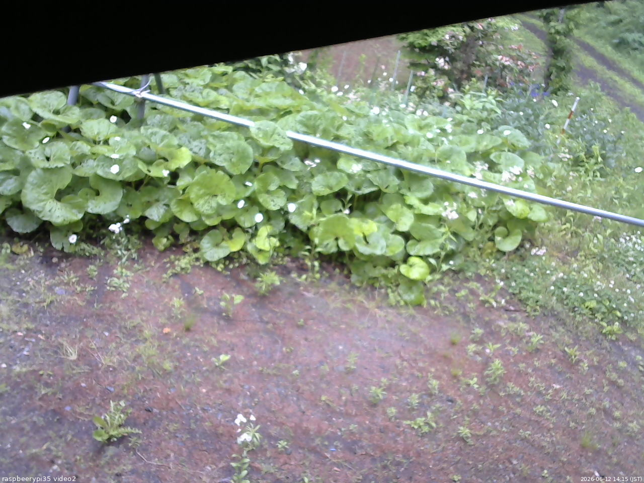 長野県菅平高原 ゆたか山荘 駐車場 2026/06/12 14:15