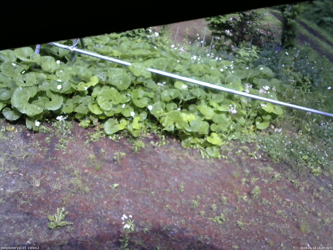 長野県菅平高原 ゆたか山荘 駐車場 2026/06/12 14:30