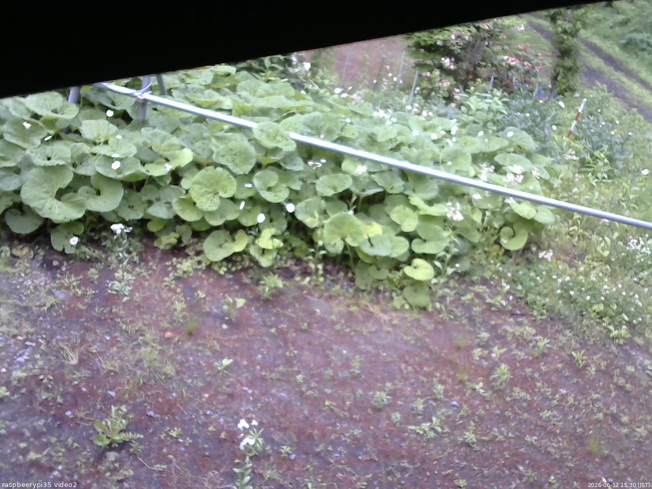 長野県菅平高原 ゆたか山荘 駐車場 2026/06/12 15:30