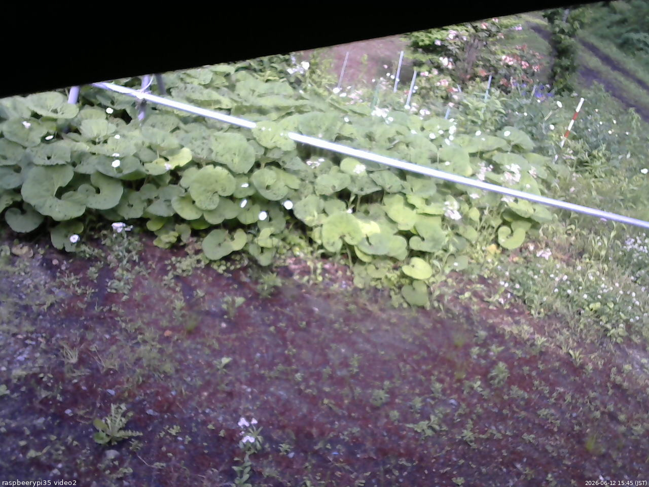 長野県菅平高原 ゆたか山荘 駐車場 2026/06/12 15:45