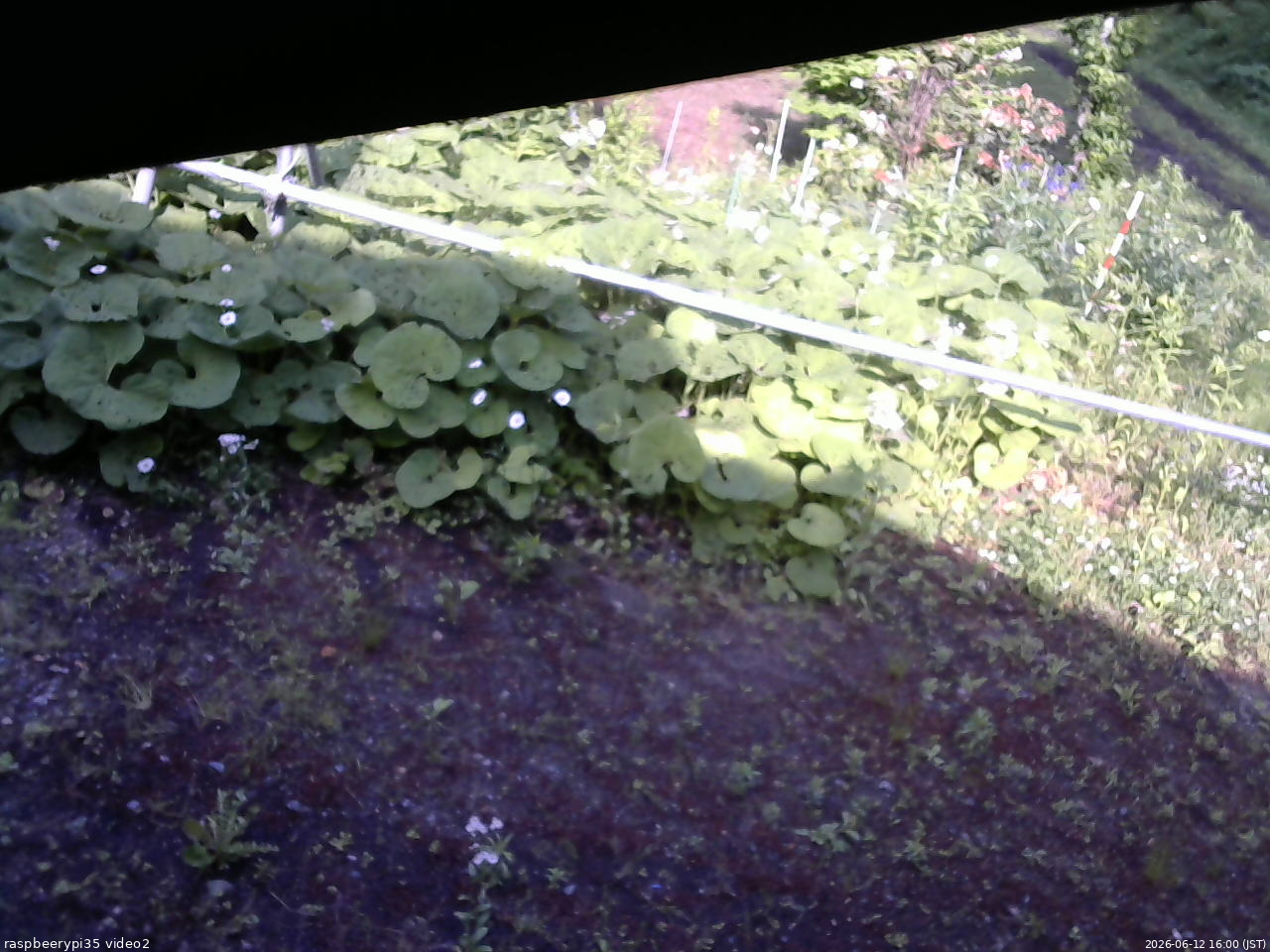 長野県菅平高原 ゆたか山荘 駐車場 2026/06/12 16:00