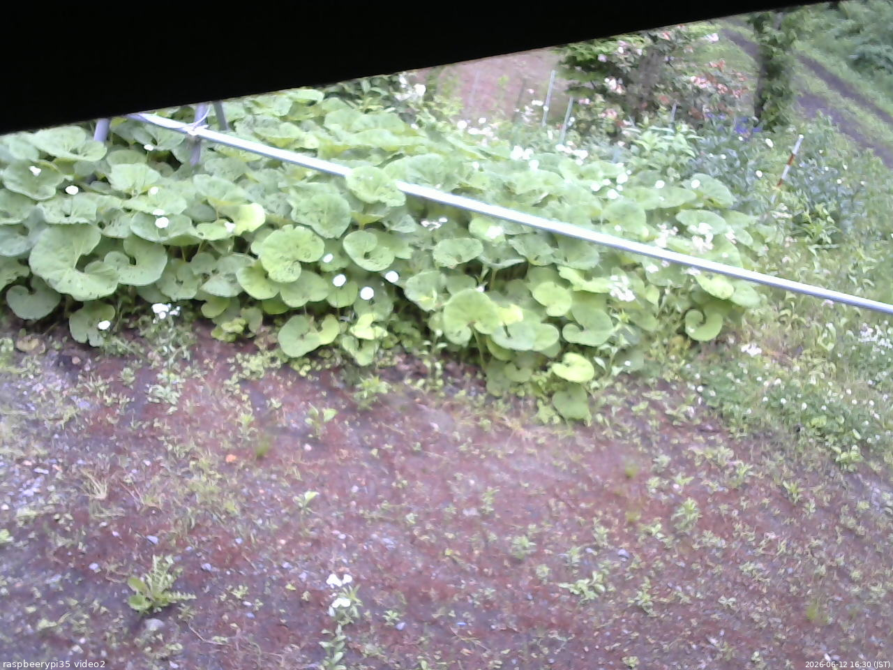 長野県菅平高原 ゆたか山荘 駐車場 2026/06/12 16:30