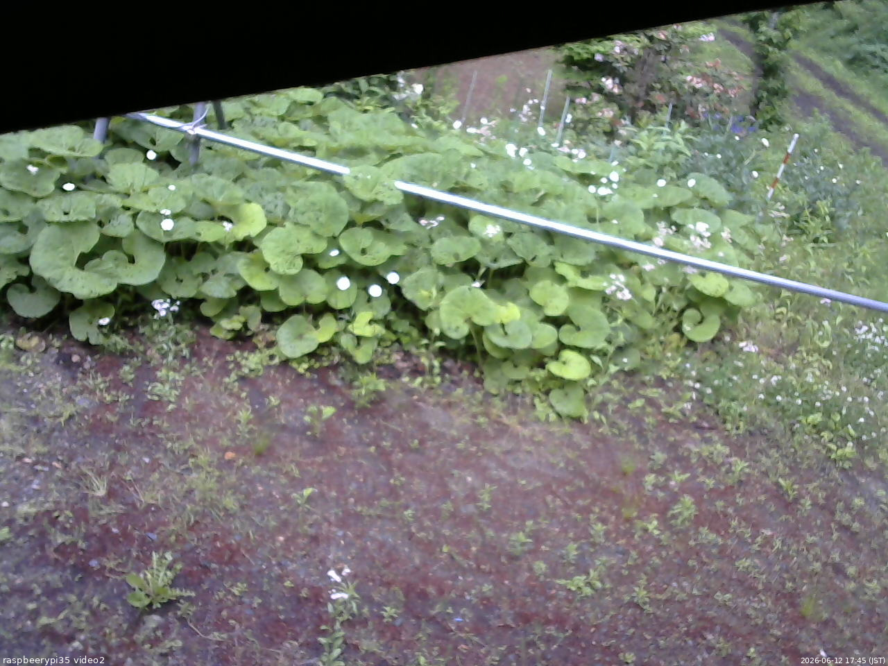 長野県菅平高原 ゆたか山荘 駐車場 2026/06/12 17:45