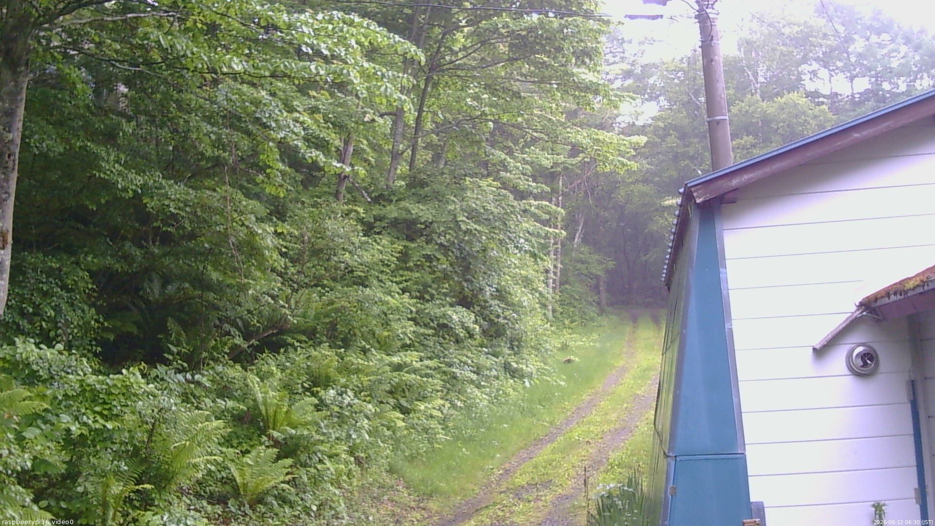長野県菅平高原 ゆたか山荘 ゆたか山荘 2026/06/12 06:30