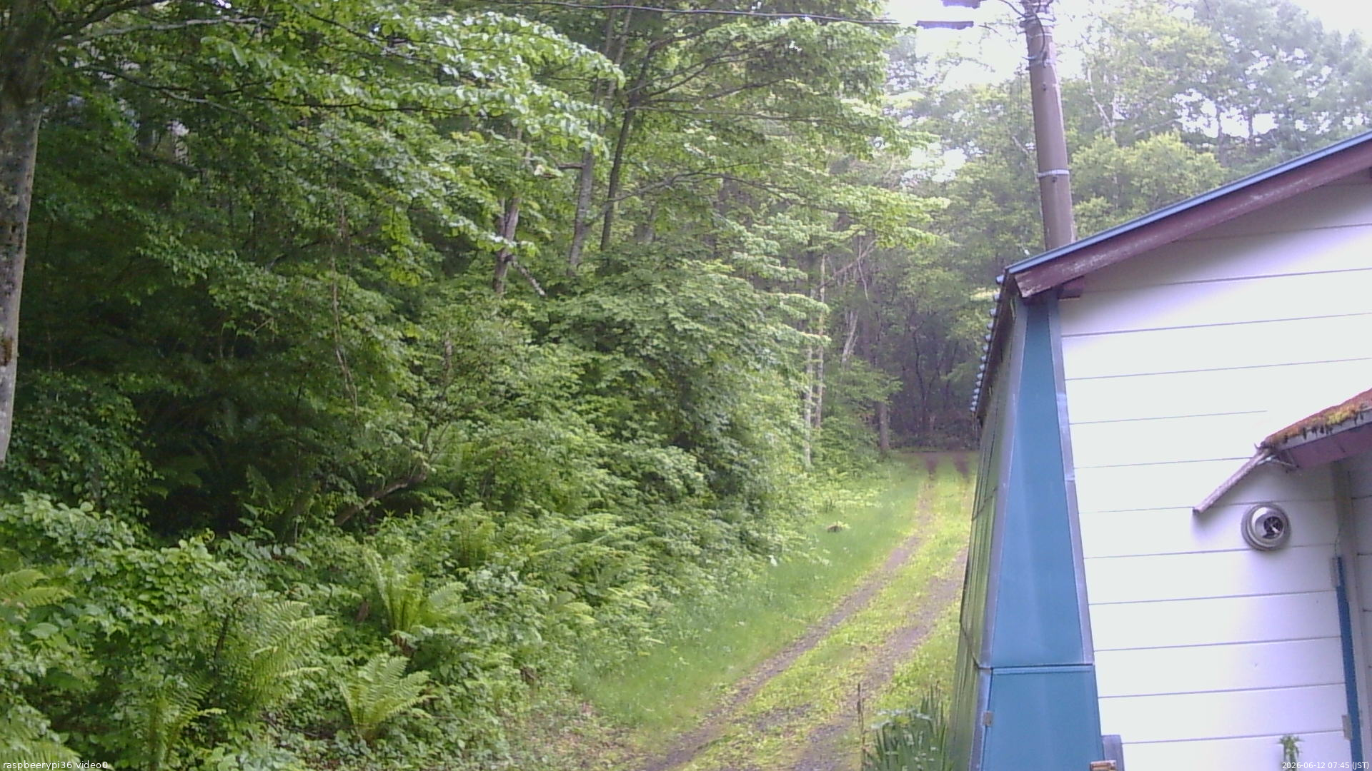 長野県菅平高原 ゆたか山荘 ゆたか山荘 2026/06/12 07:45
