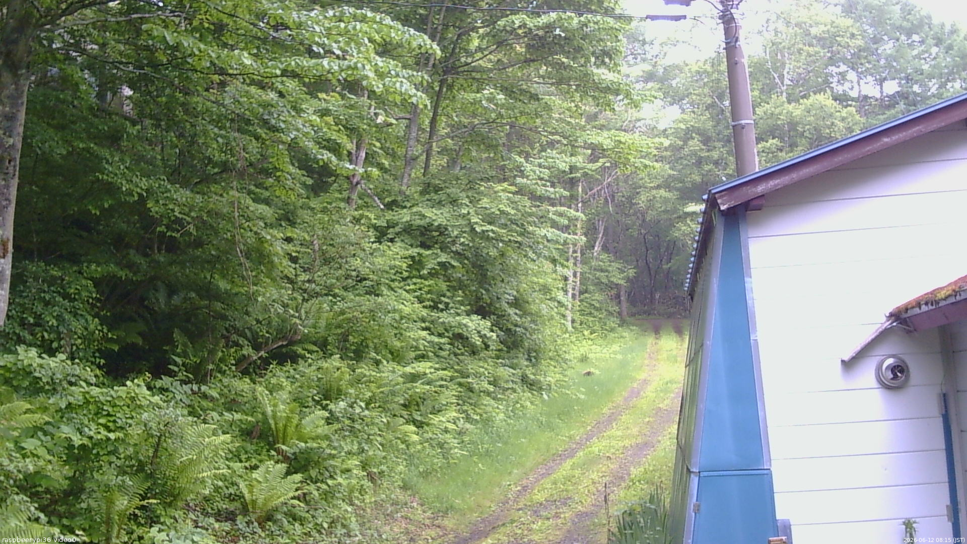 長野県菅平高原 ゆたか山荘 ゆたか山荘 2026/06/12 08:15