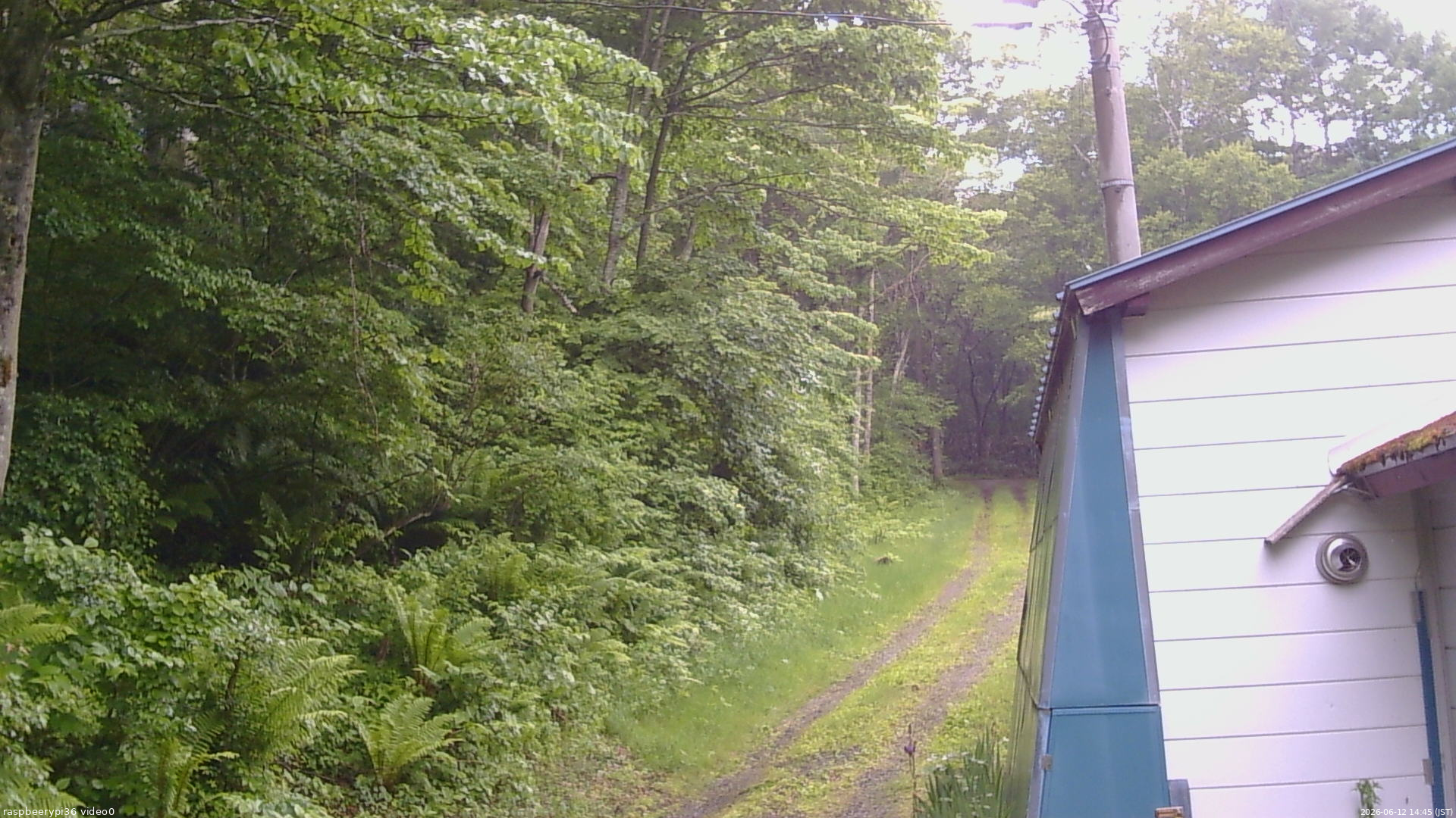 長野県菅平高原 ゆたか山荘 ゆたか山荘 2026/06/12 14:45