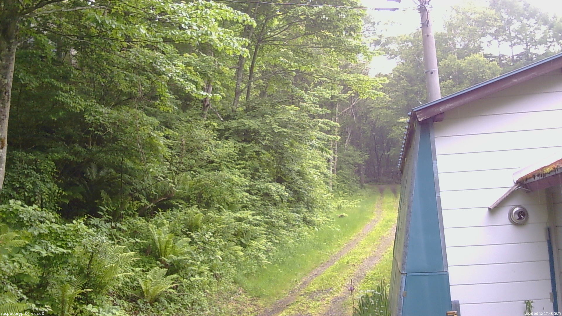 長野県菅平高原 ゆたか山荘 ゆたか山荘 2026/06/12 17:45