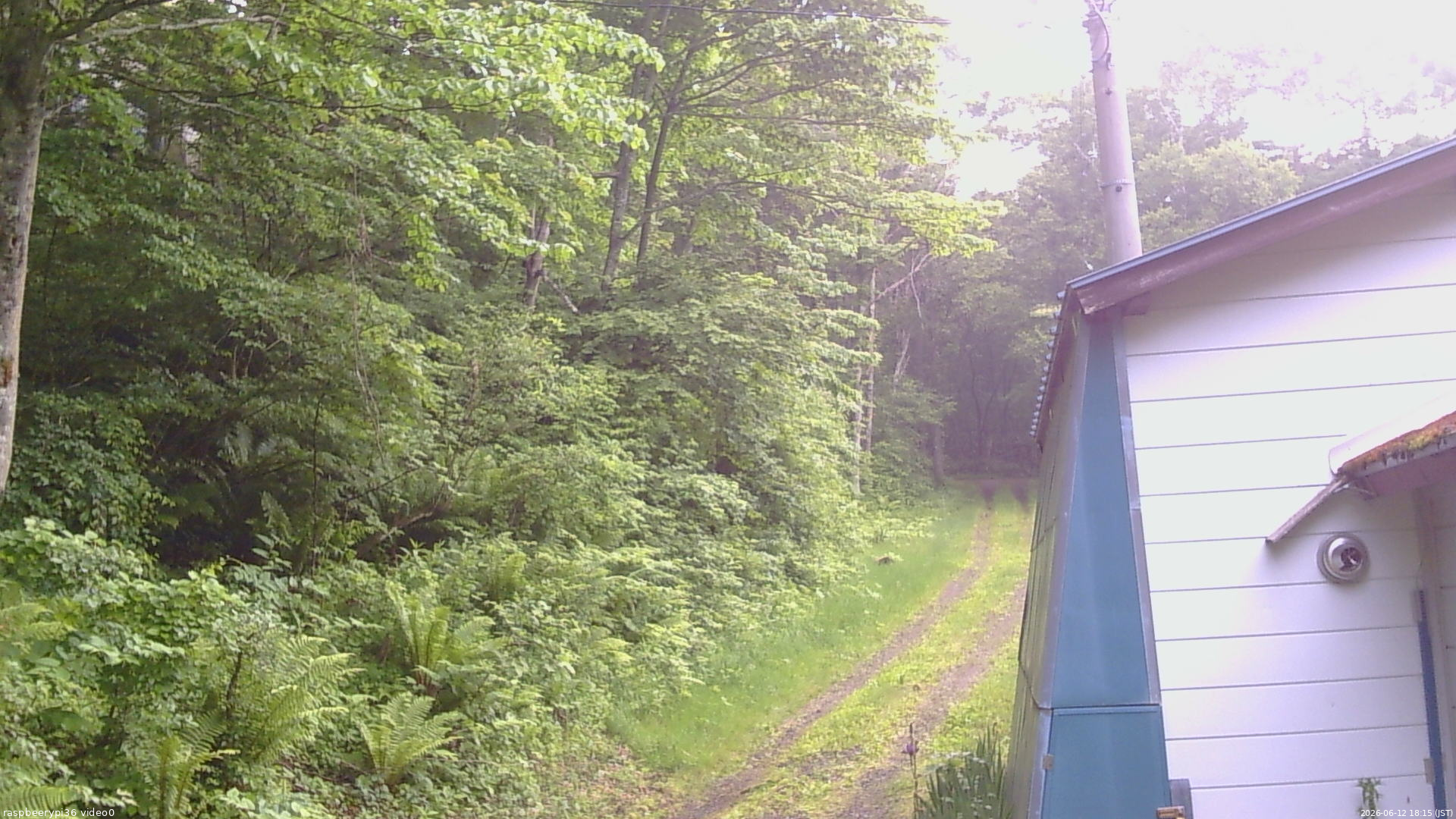 長野県菅平高原 ゆたか山荘 ゆたか山荘 2026/06/12 18:15