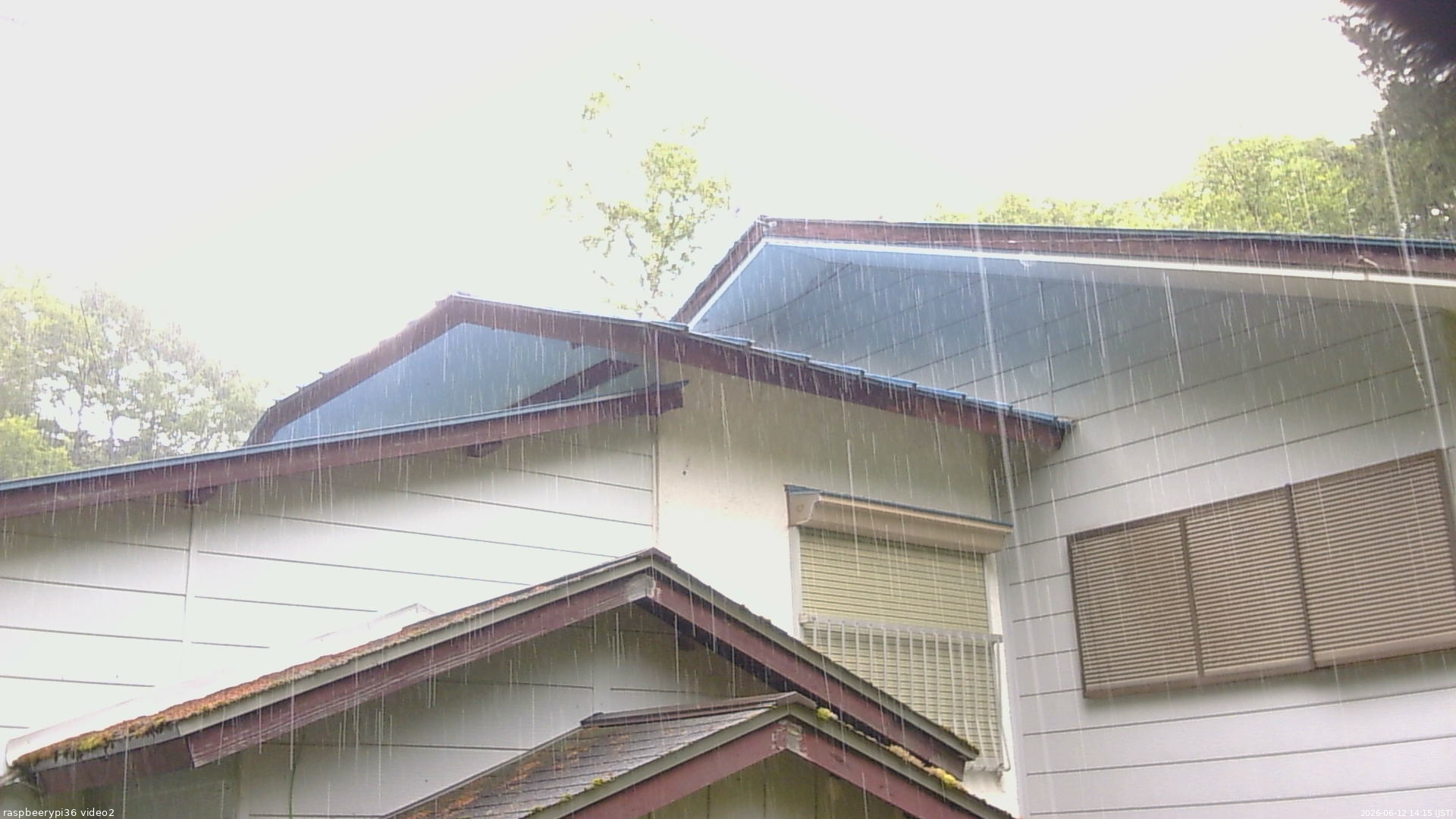 長野県菅平高原 ゆたか山荘 駐車場奥 2026/06/12 14:15