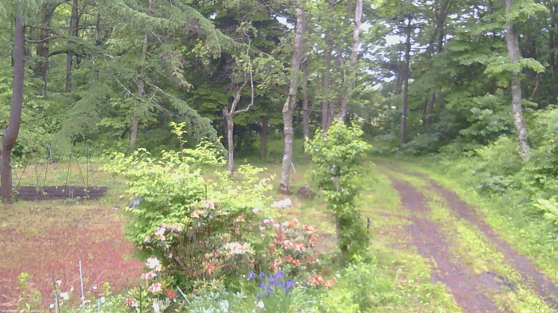 長野県菅平高原 ゆたか山荘 坂上 2026/06/12 06:00