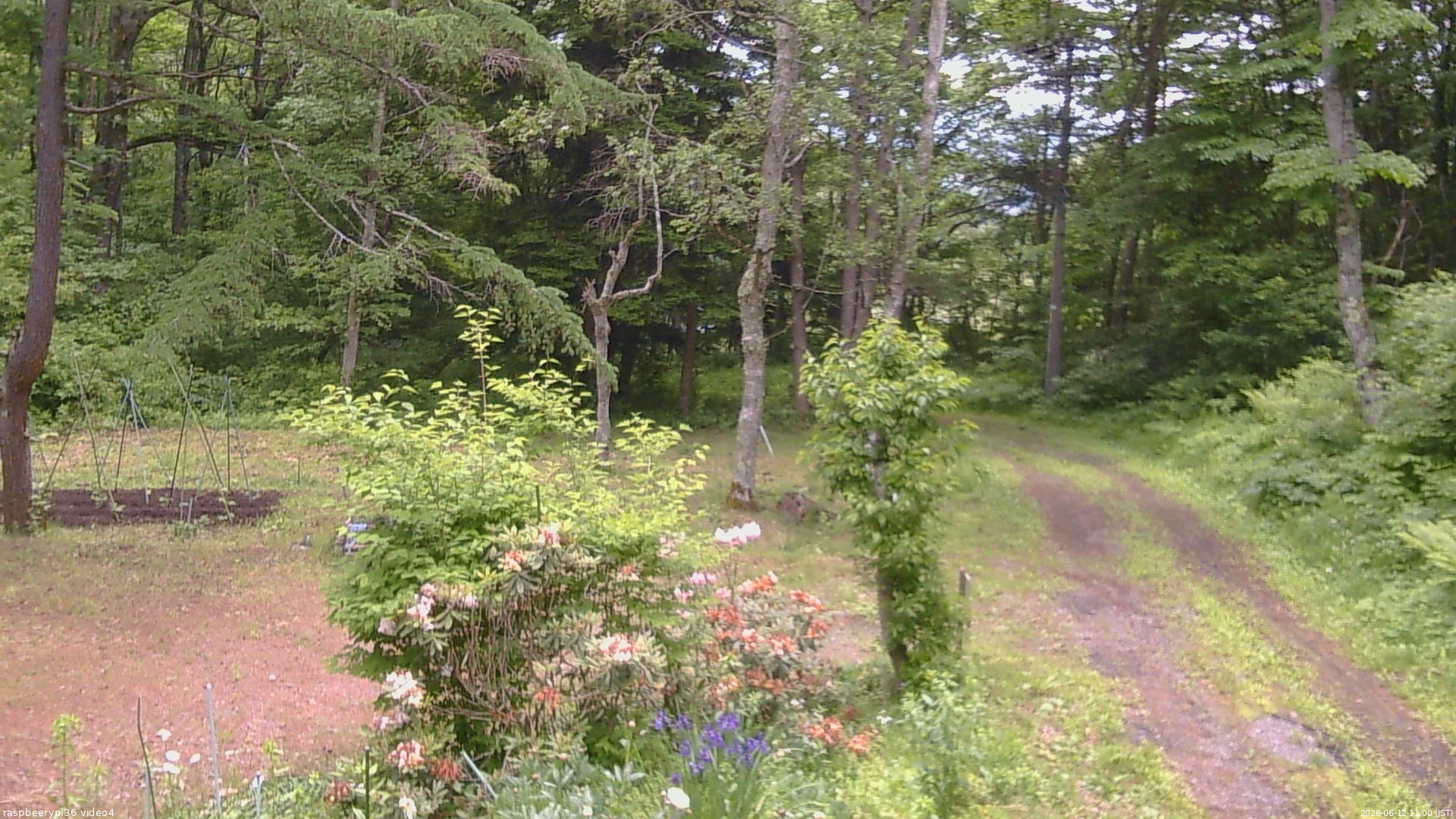 長野県菅平高原 ゆたか山荘 坂上 2026/06/12 11:00