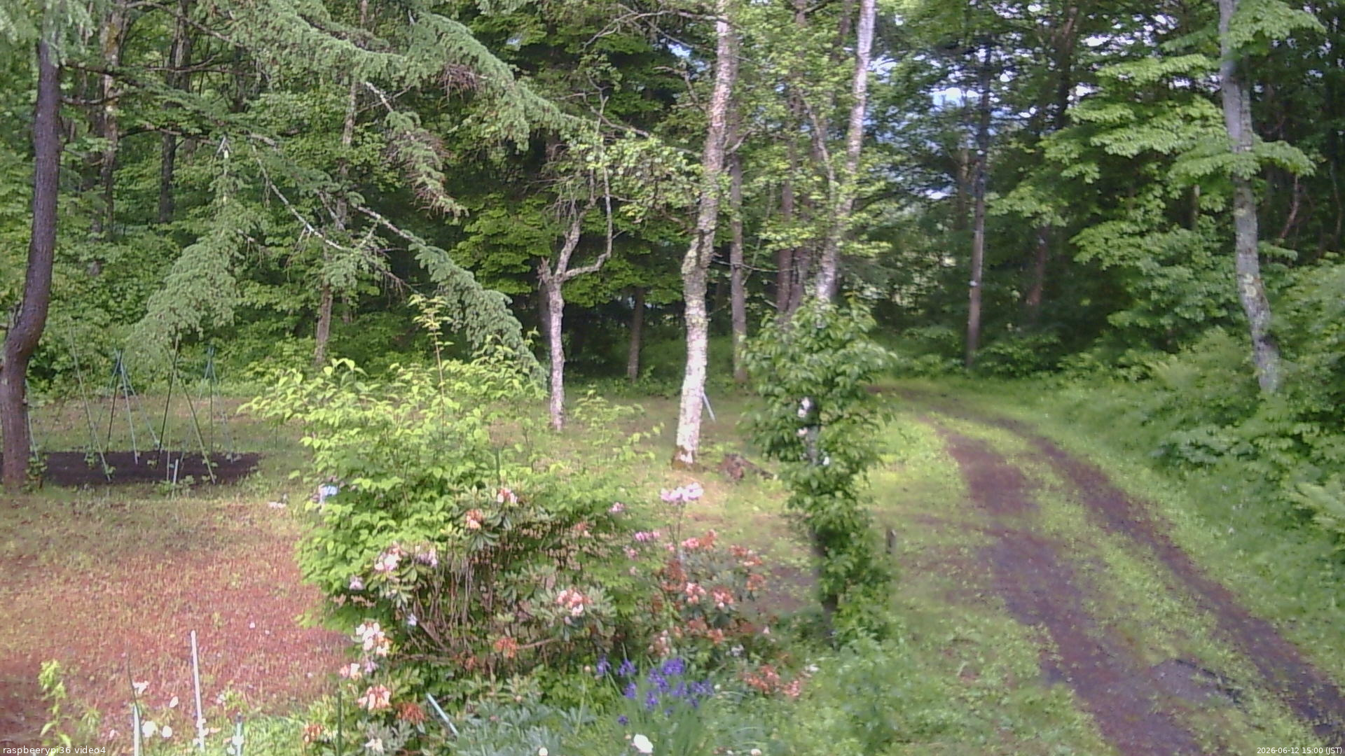長野県菅平高原 ゆたか山荘 坂上 2026/06/12 15:00