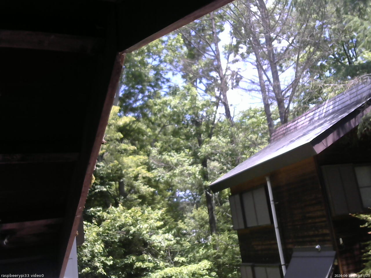 長野県菅平高原 ゆたか山荘 北側 2026/06/13 11:30