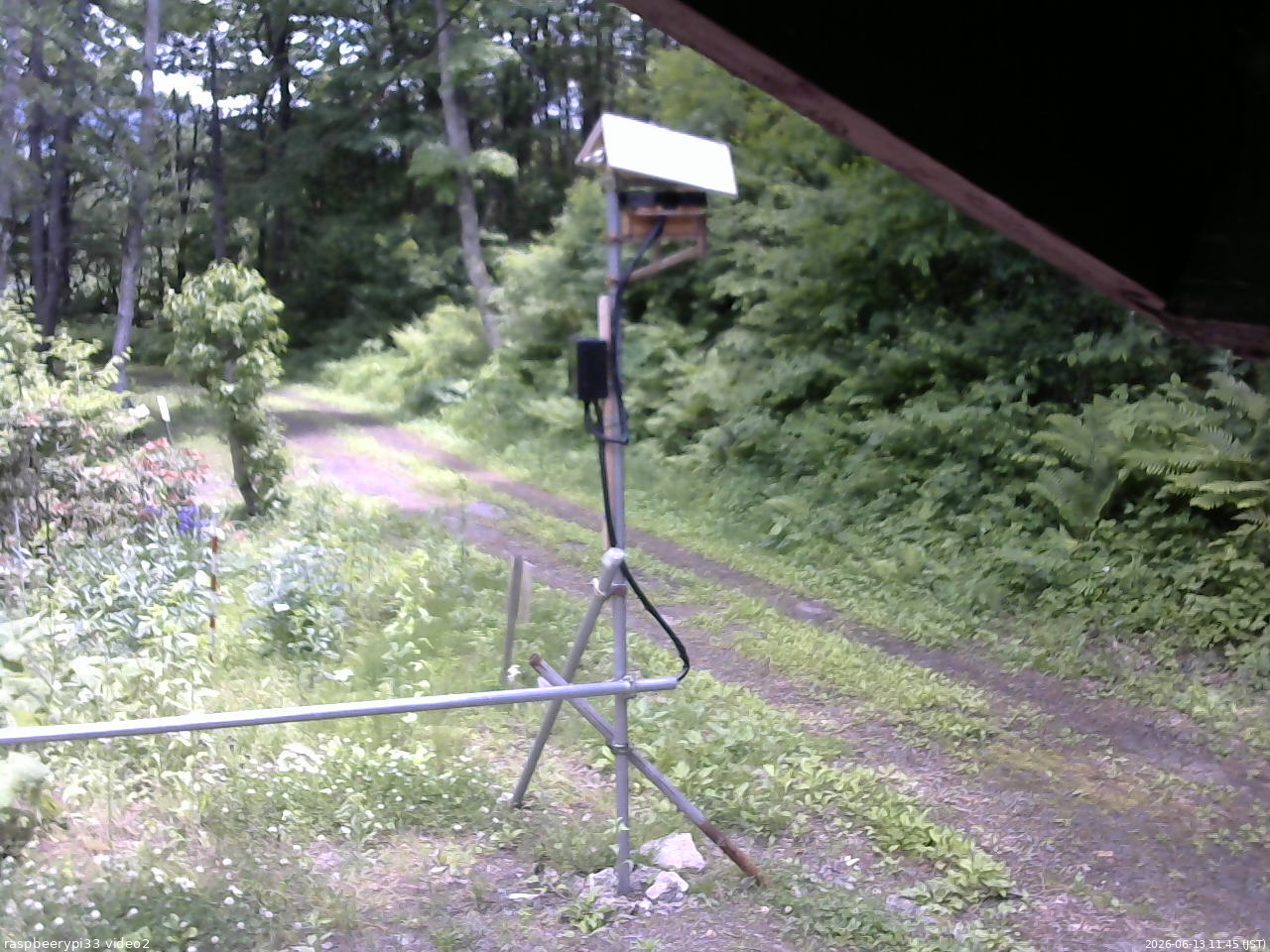 長野県菅平高原 ゆたか山荘 南側 2026/06/13 11:45