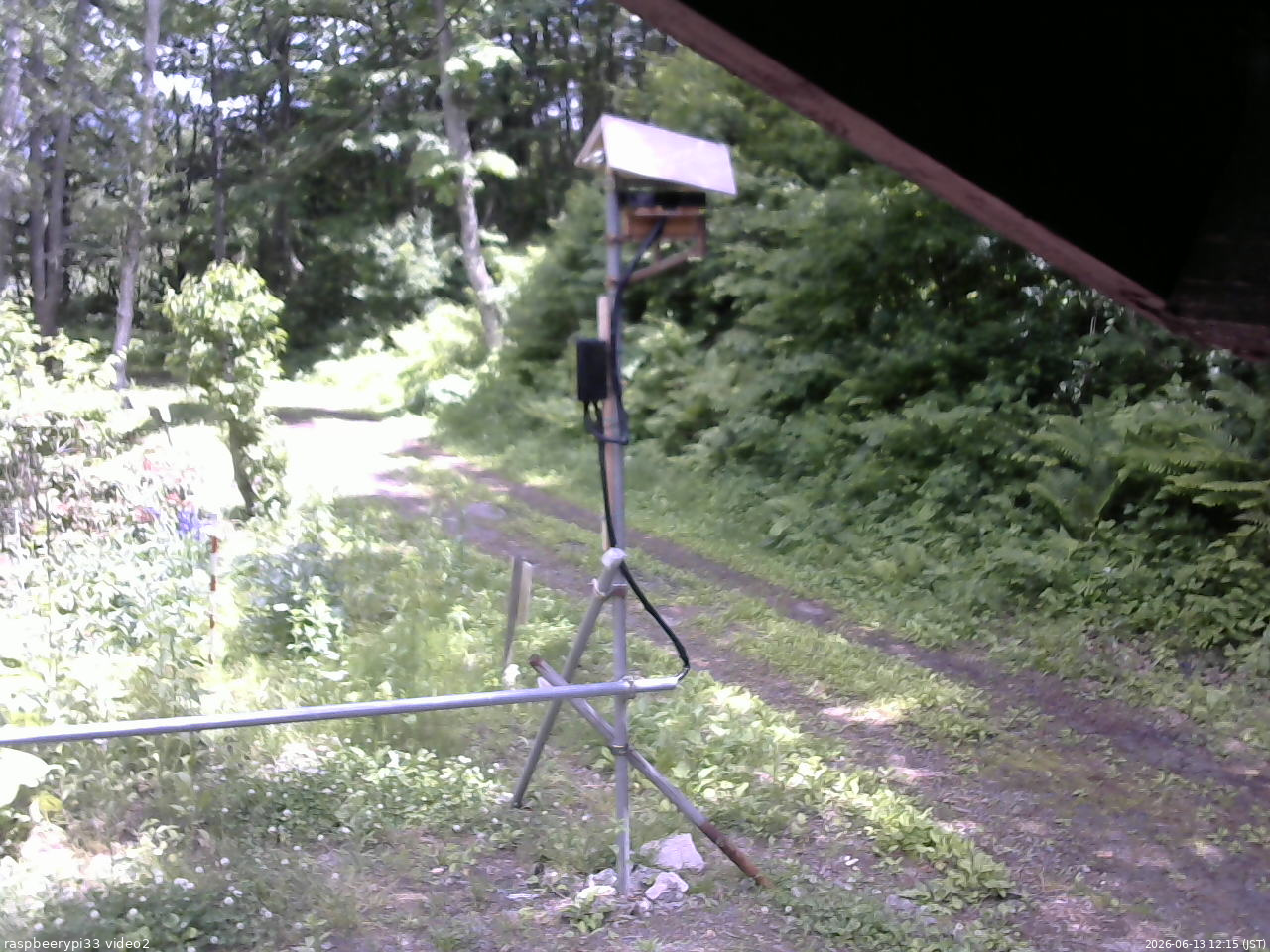長野県菅平高原 ゆたか山荘 南側 2026/06/13 12:15
