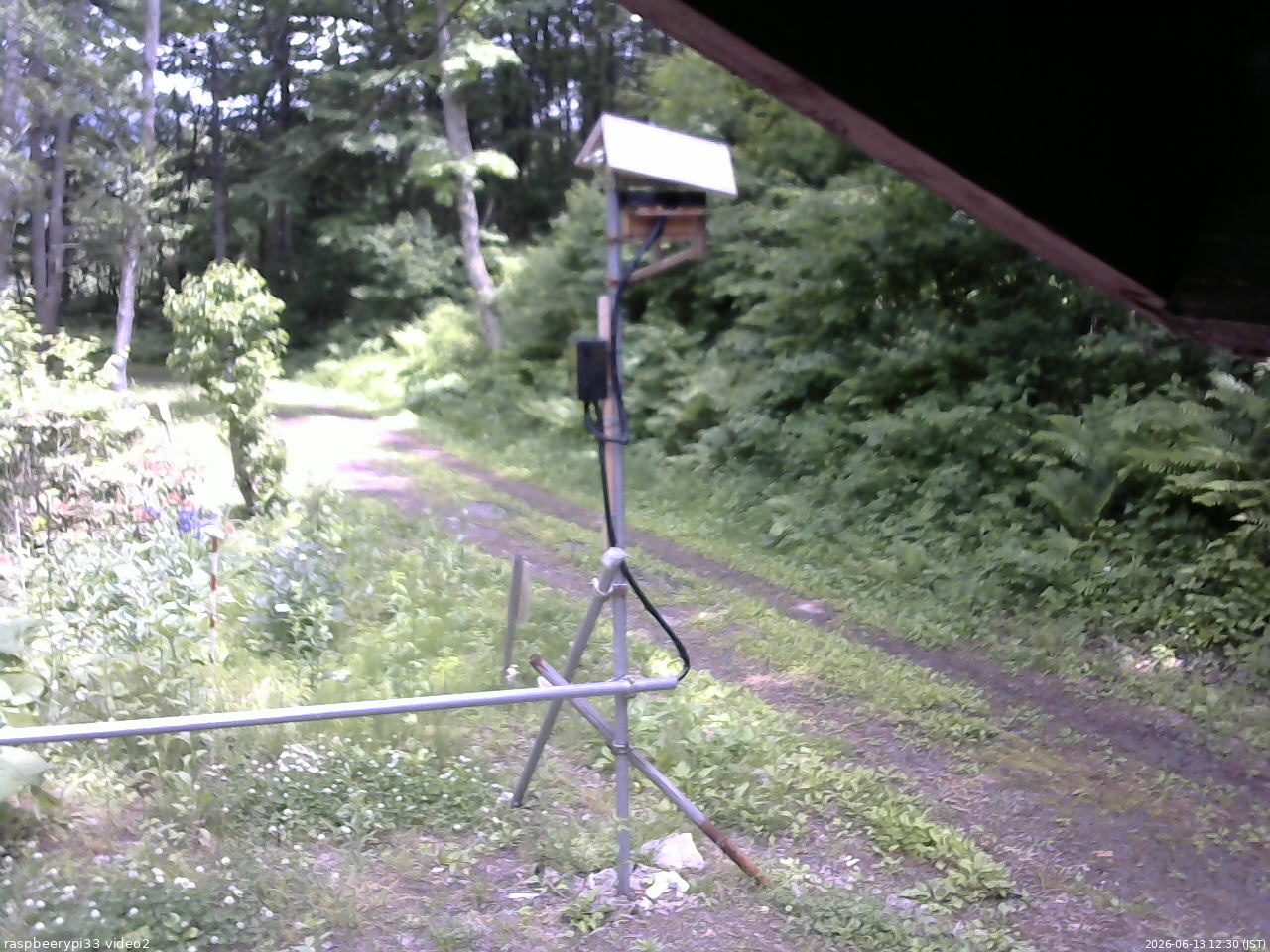 長野県菅平高原 ゆたか山荘 南側 2026/06/13 12:30