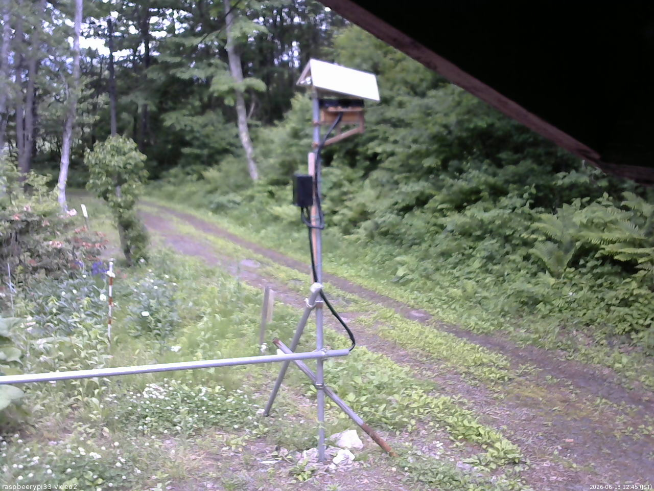 長野県菅平高原 ゆたか山荘 南側 2026/06/13 12:45
