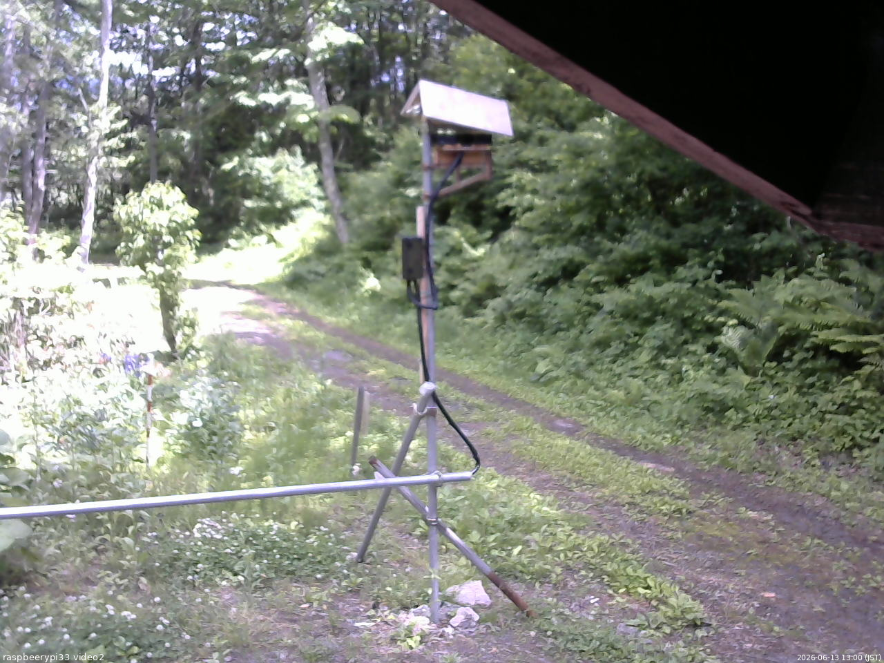 長野県菅平高原 ゆたか山荘 南側 2026/06/13 13:00