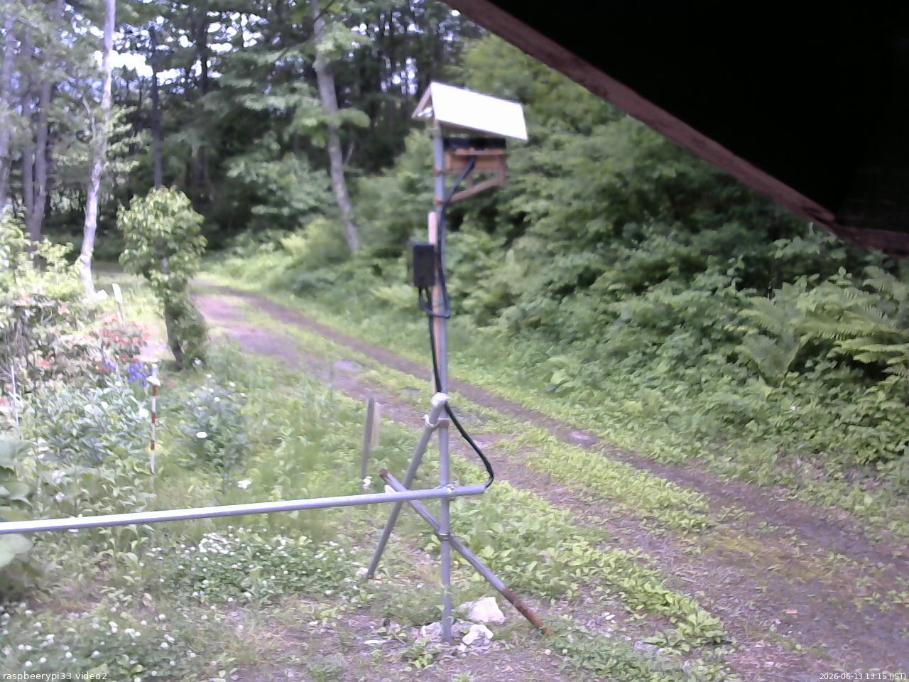 長野県菅平高原 ゆたか山荘 南側 2026/06/13 13:15