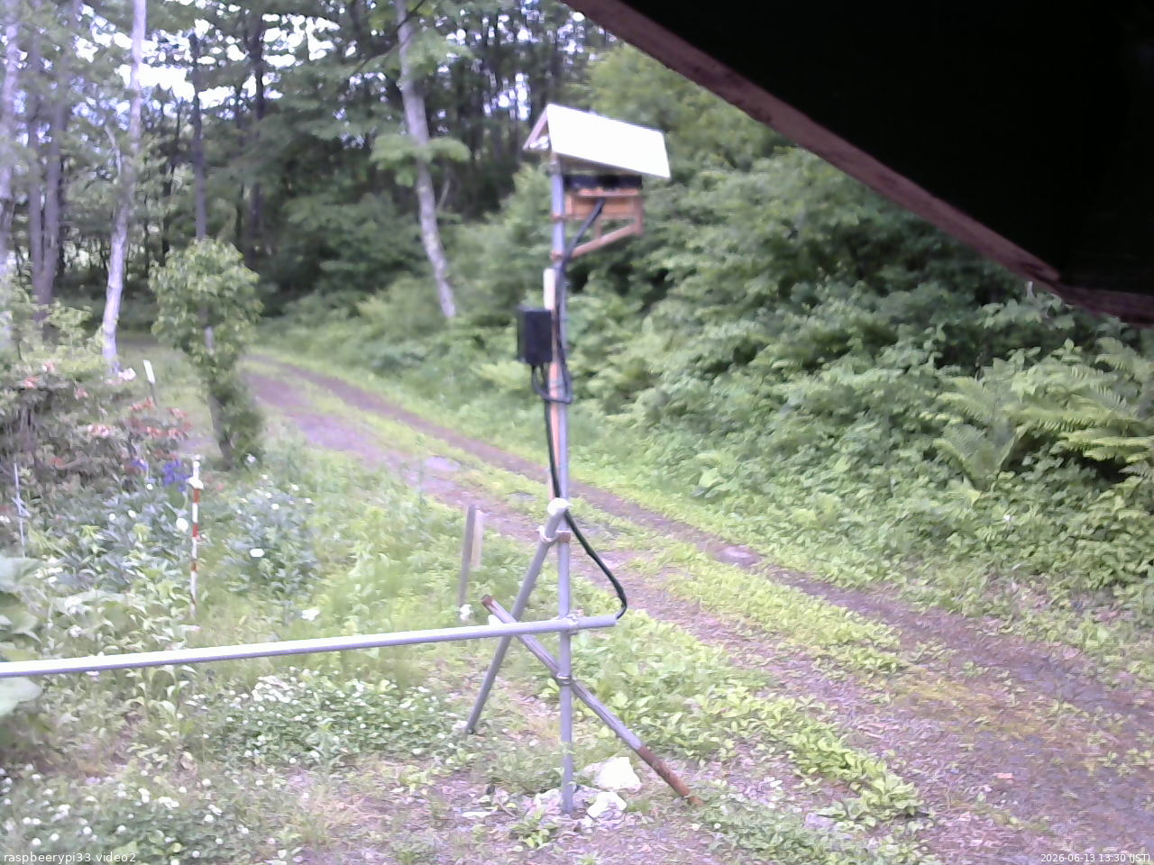 長野県菅平高原 ゆたか山荘 南側 2026/06/13 13:30