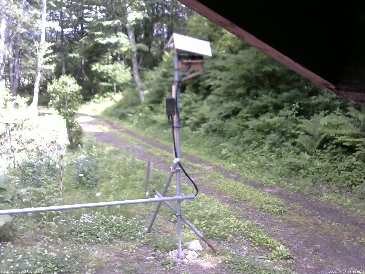 長野県菅平高原 ゆたか山荘 南側 2026/06/13 13:45