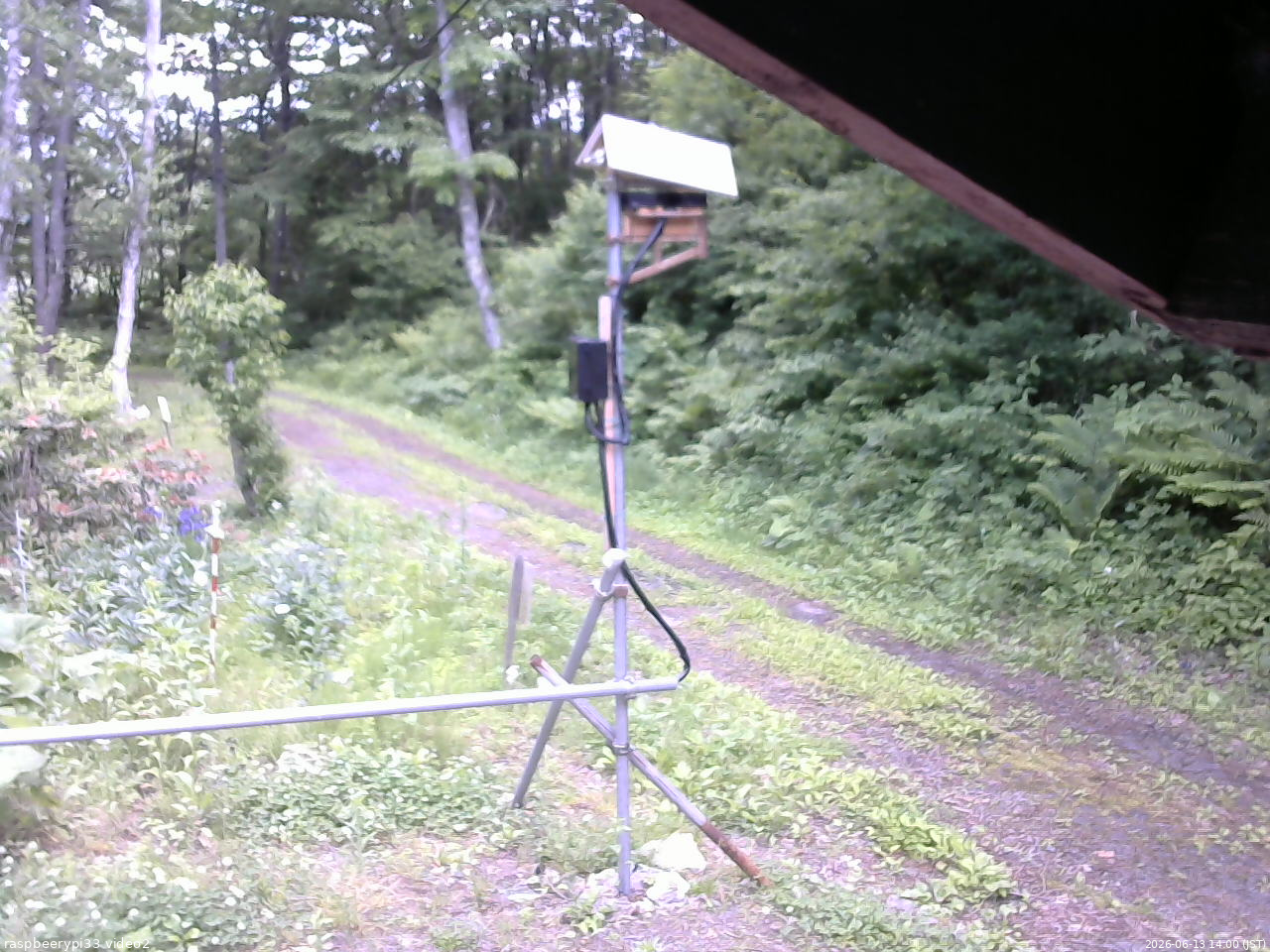 長野県菅平高原 ゆたか山荘 南側 2026/06/13 14:00