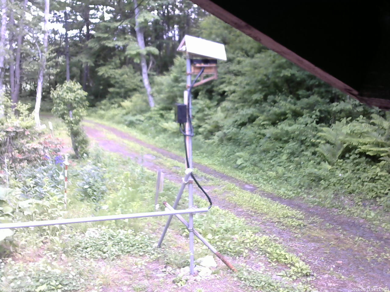 長野県菅平高原 ゆたか山荘 南側 2026/06/13 14:15