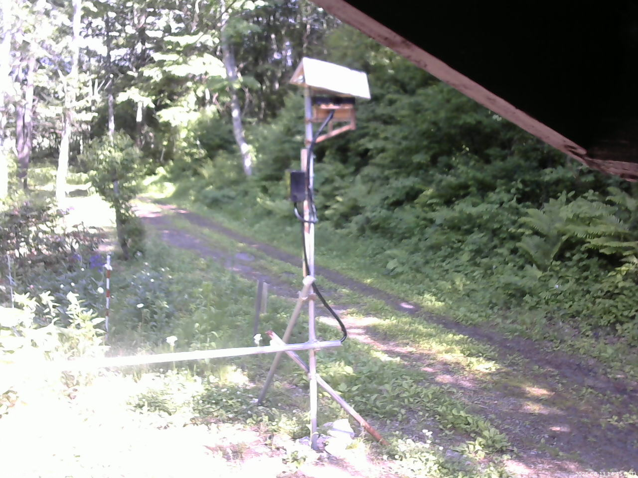 長野県菅平高原 ゆたか山荘 南側 2026/06/13 14:45