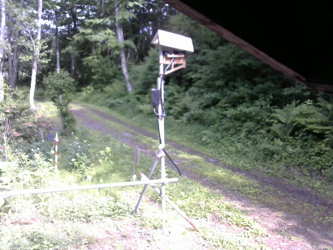 長野県菅平高原 ゆたか山荘 南側 2026/06/13 15:15