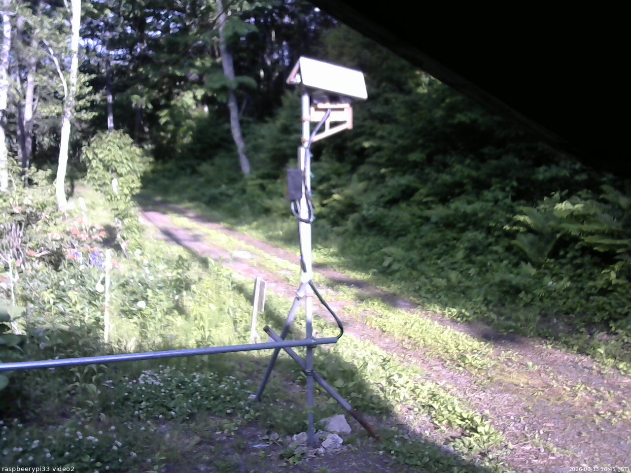 長野県菅平高原 ゆたか山荘 南側 2026/06/13 16:45