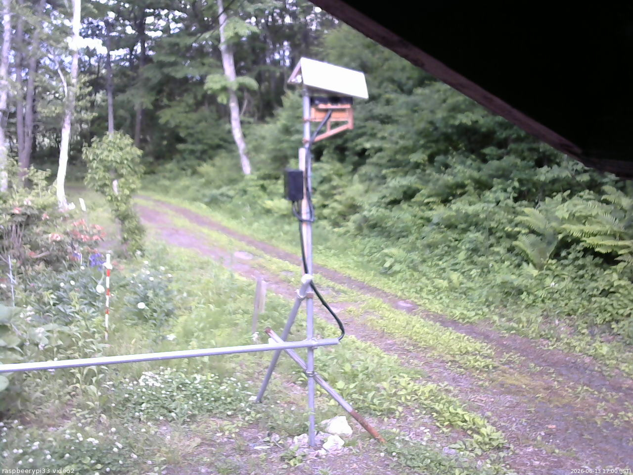 長野県菅平高原 ゆたか山荘 南側 2026/06/13 17:00