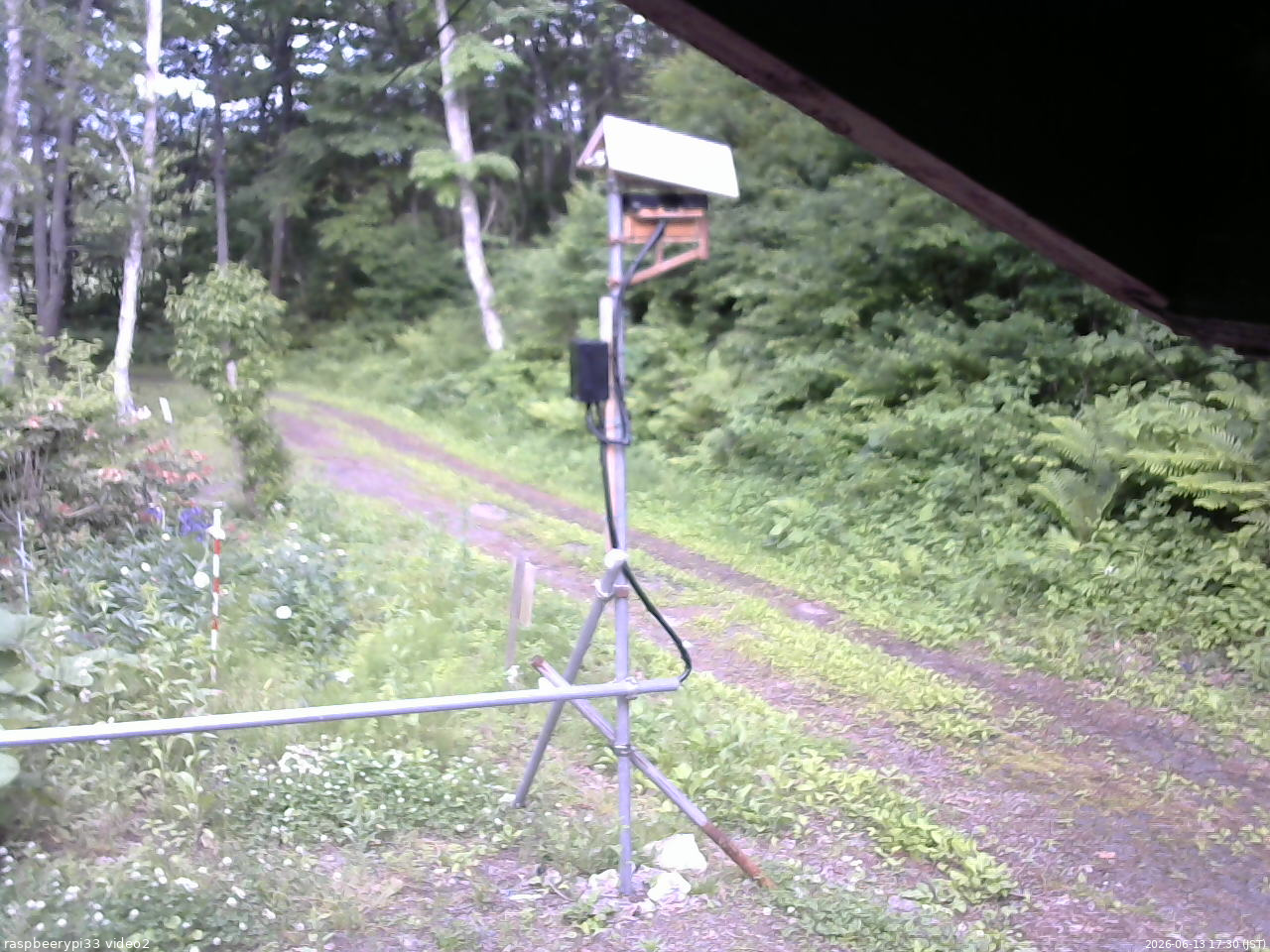 長野県菅平高原 ゆたか山荘 南側 2026/06/13 17:30