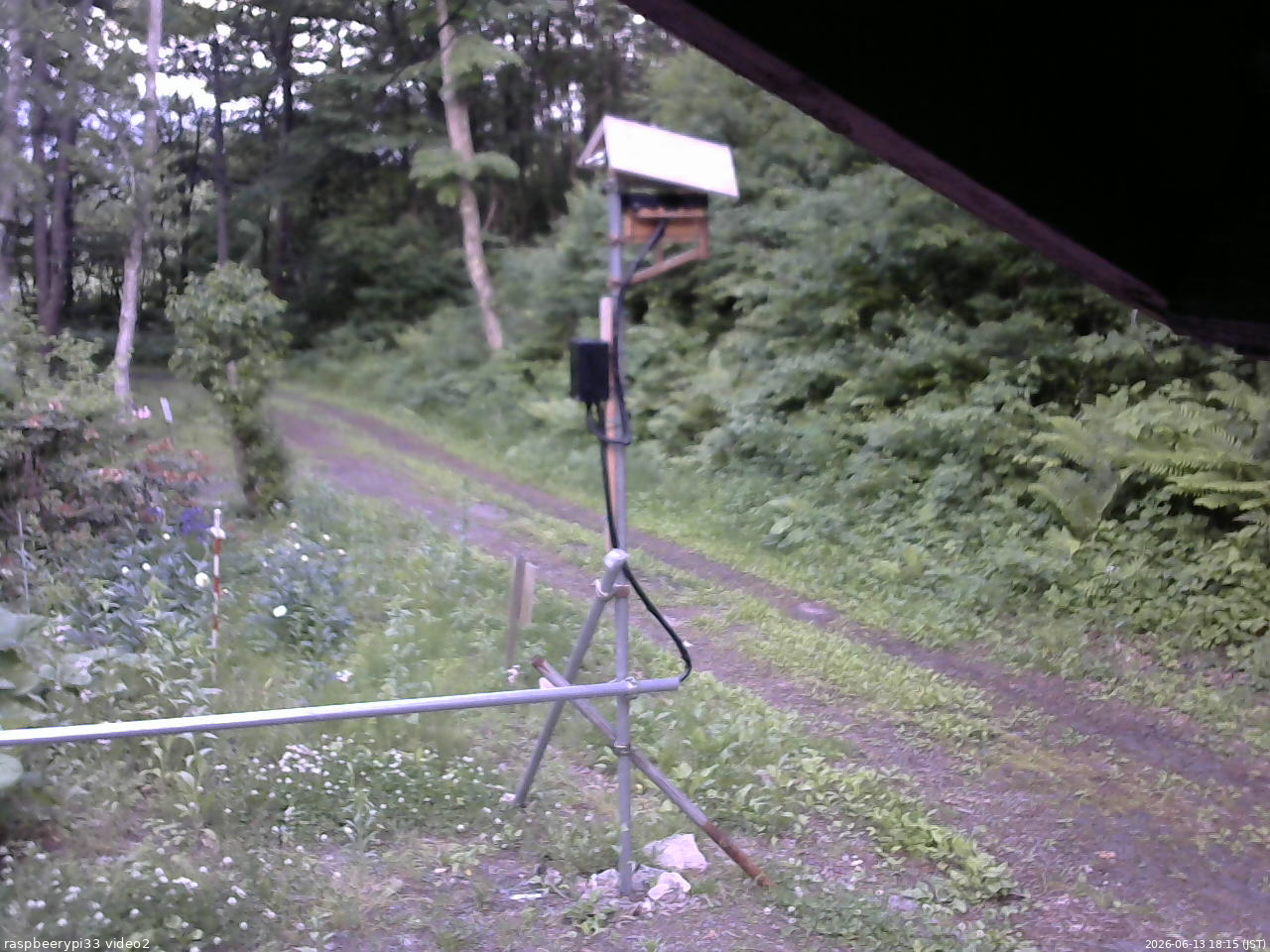 長野県菅平高原 ゆたか山荘 南側 2026/06/13 18:15