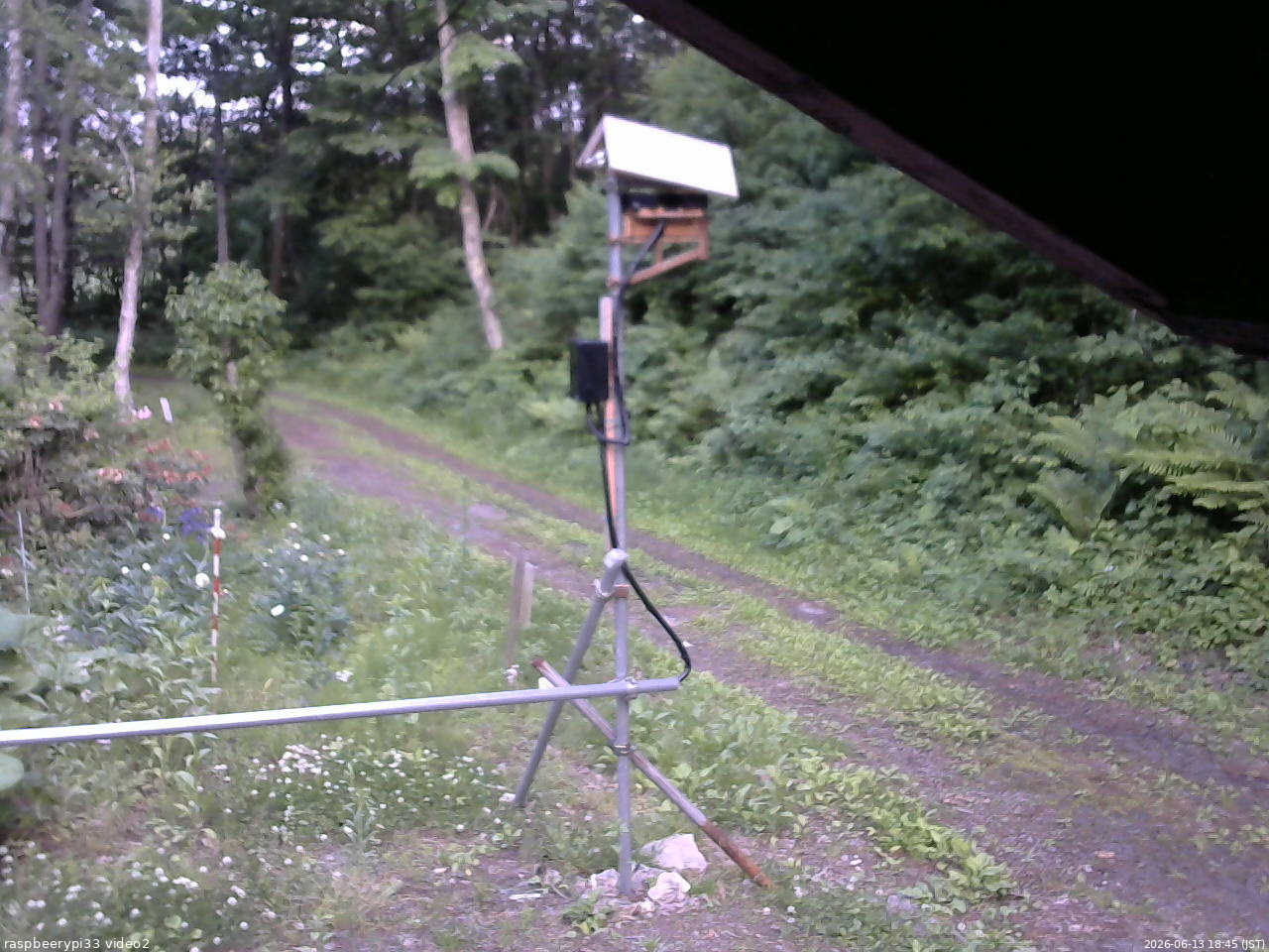 長野県菅平高原 ゆたか山荘 南側 2026/06/13 18:45