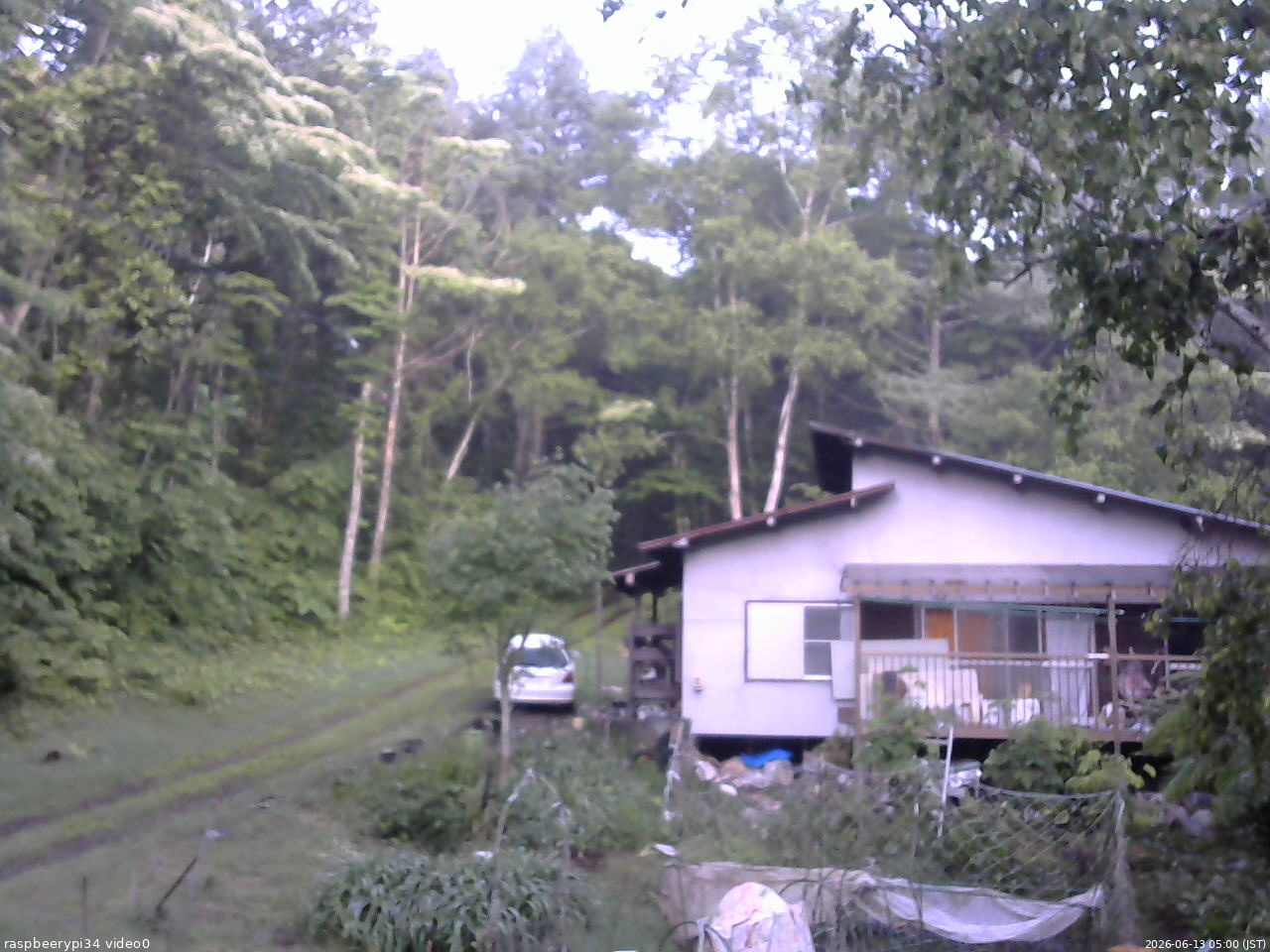 長野県菅平高原 ゆたか山荘 西側(坂上) 2026/06/13 05:00