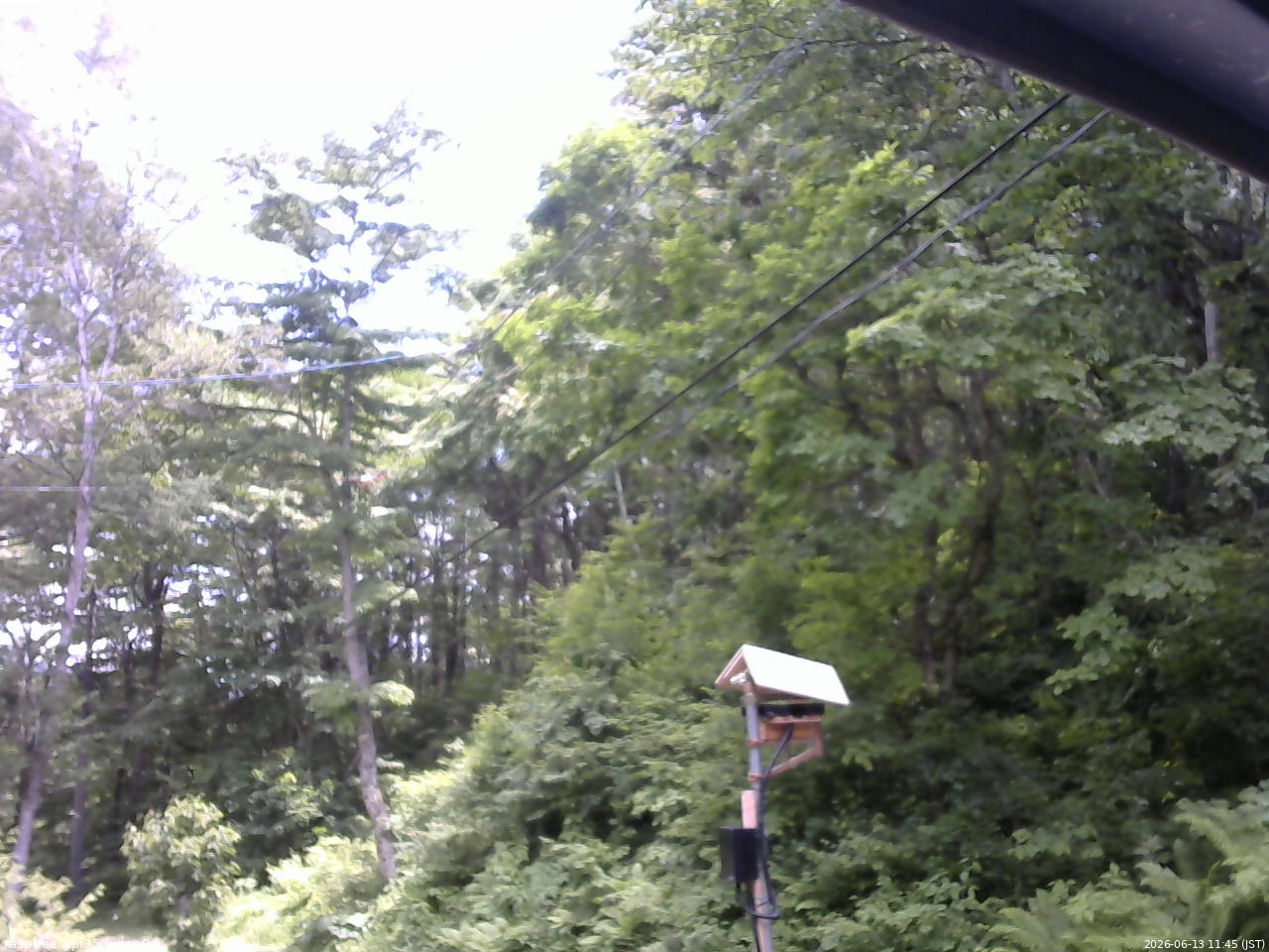 長野県菅平高原 ゆたか山荘 温度計 2026/06/13 11:45
