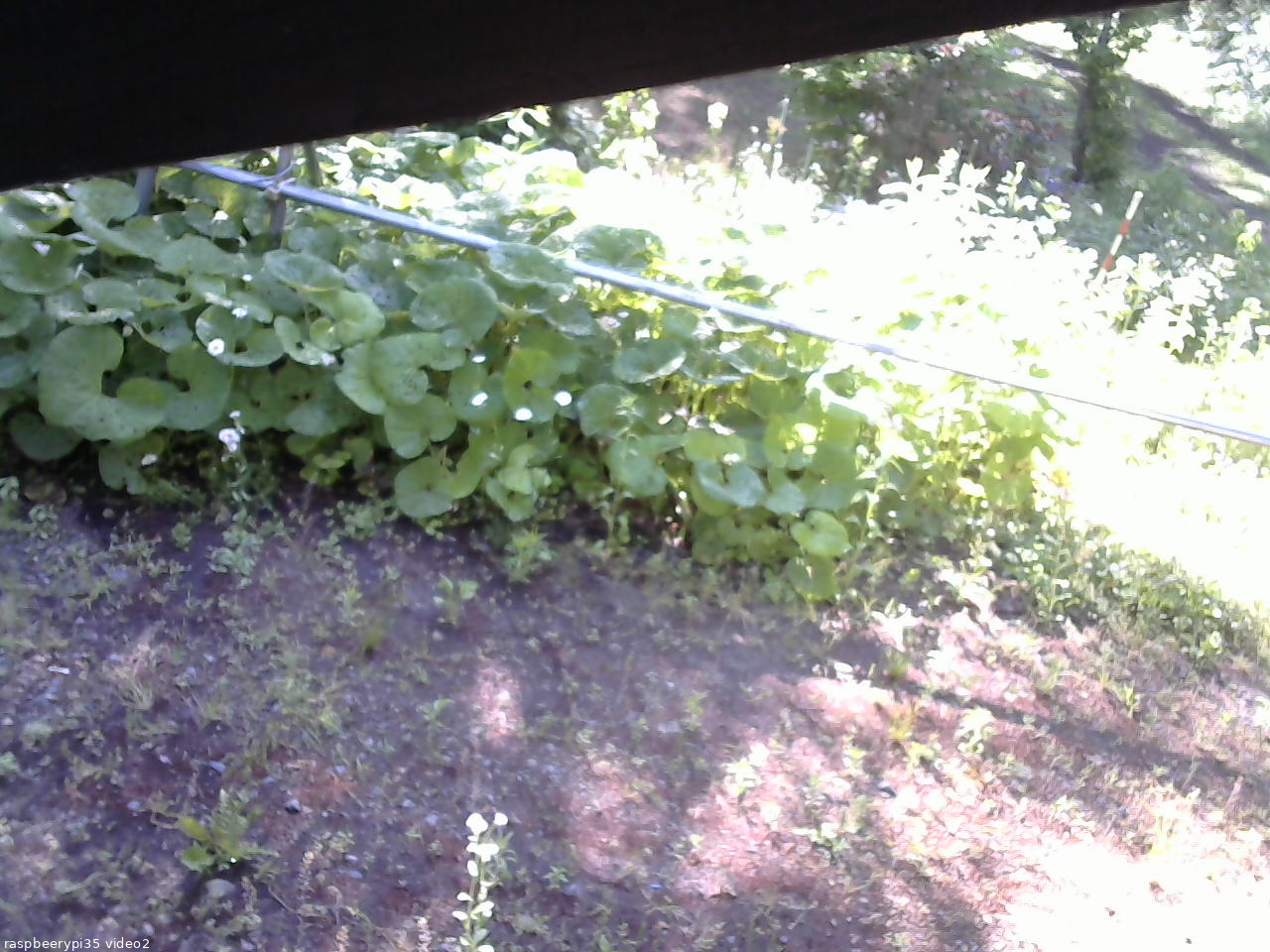 長野県菅平高原 ゆたか山荘 駐車場 2026/06/13 07:15