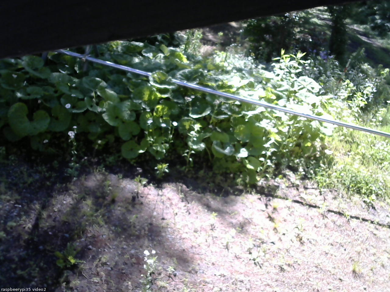 長野県菅平高原 ゆたか山荘 駐車場 2026/06/13 08:00