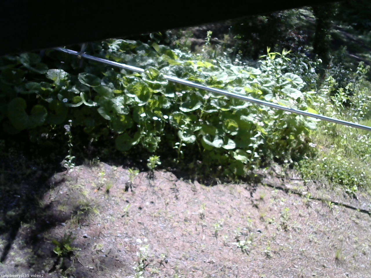 長野県菅平高原 ゆたか山荘 駐車場 2026/06/13 08:15