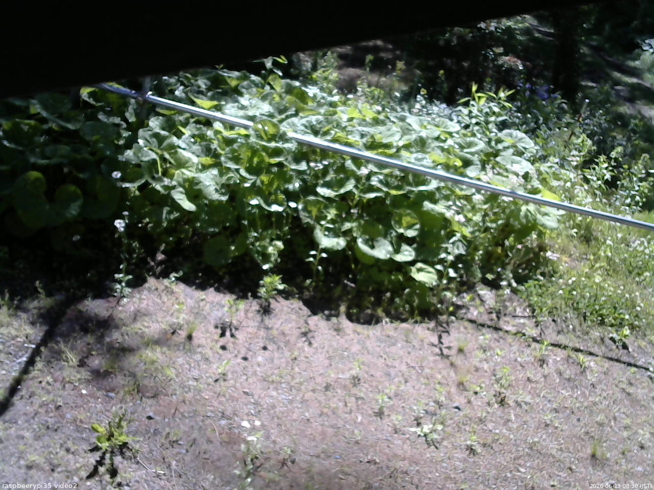 長野県菅平高原 ゆたか山荘 駐車場 2026/06/13 08:30