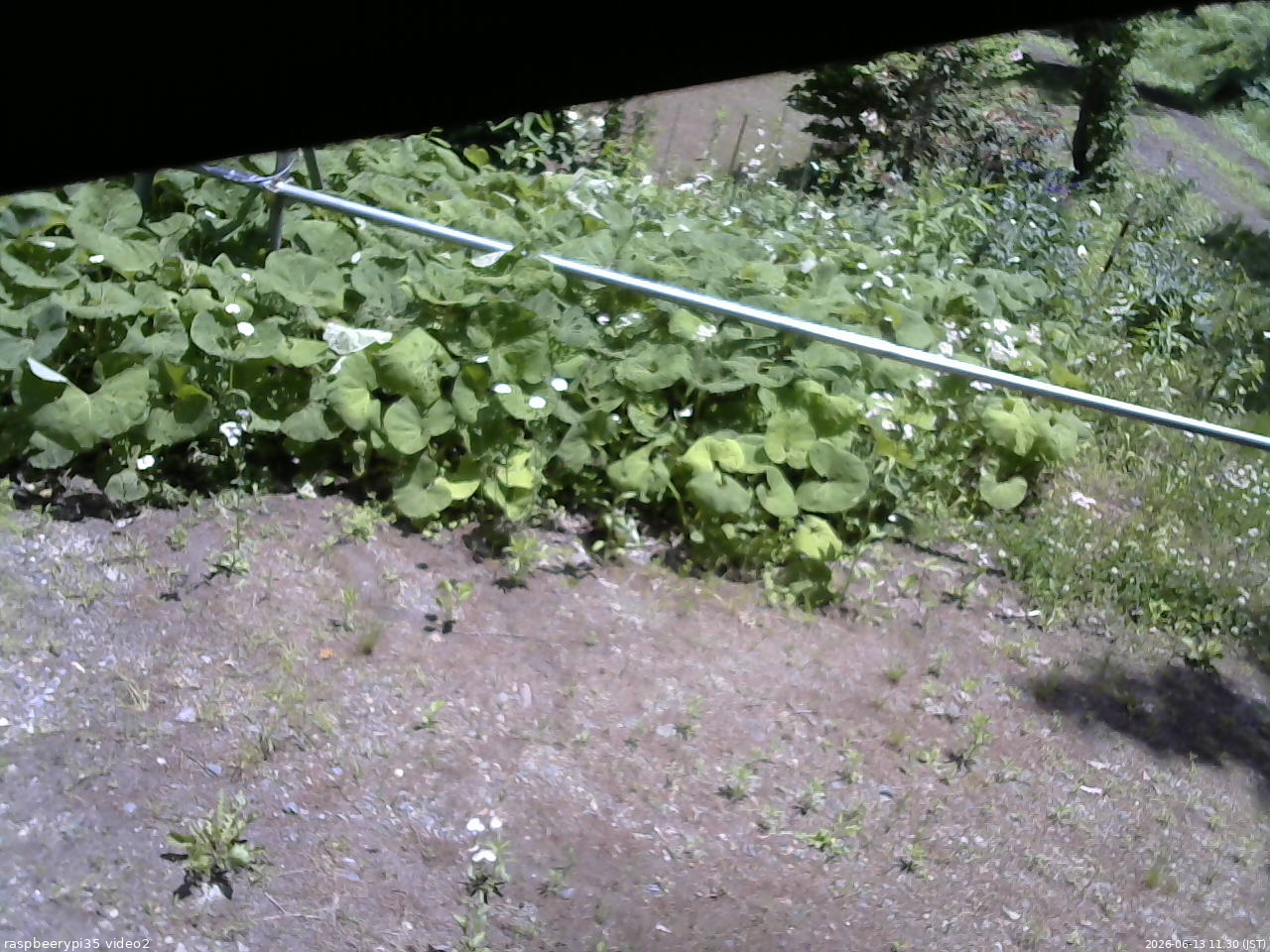 長野県菅平高原 ゆたか山荘 駐車場 2026/06/13 11:30