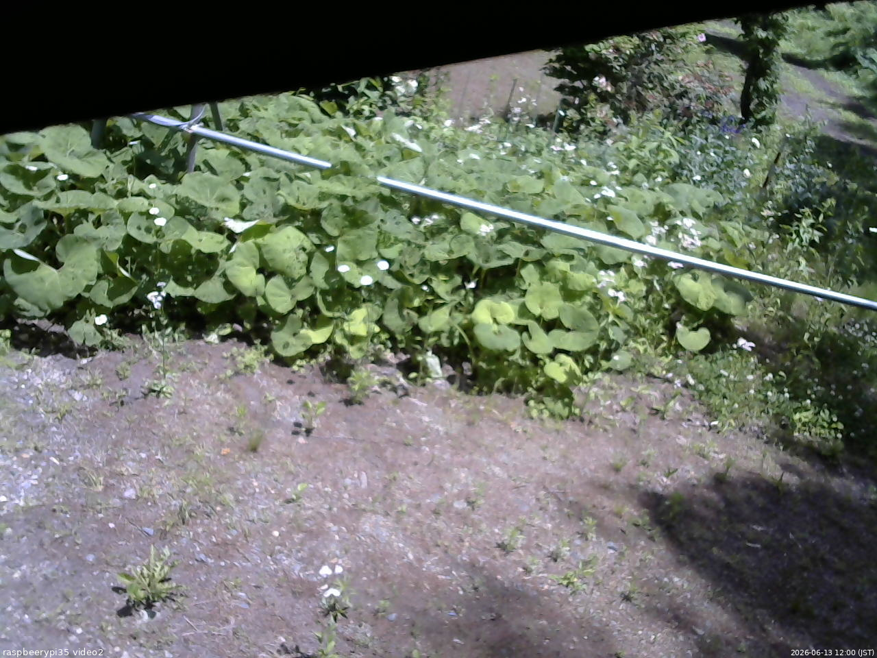 長野県菅平高原 ゆたか山荘 駐車場 2026/06/13 12:00