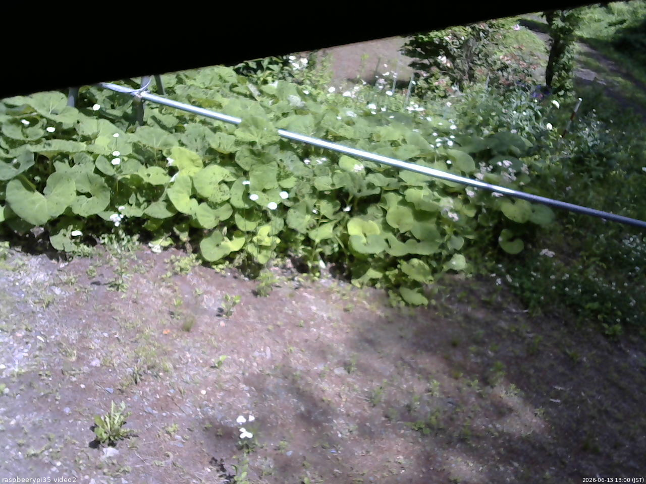 長野県菅平高原 ゆたか山荘 駐車場 2026/06/13 13:00