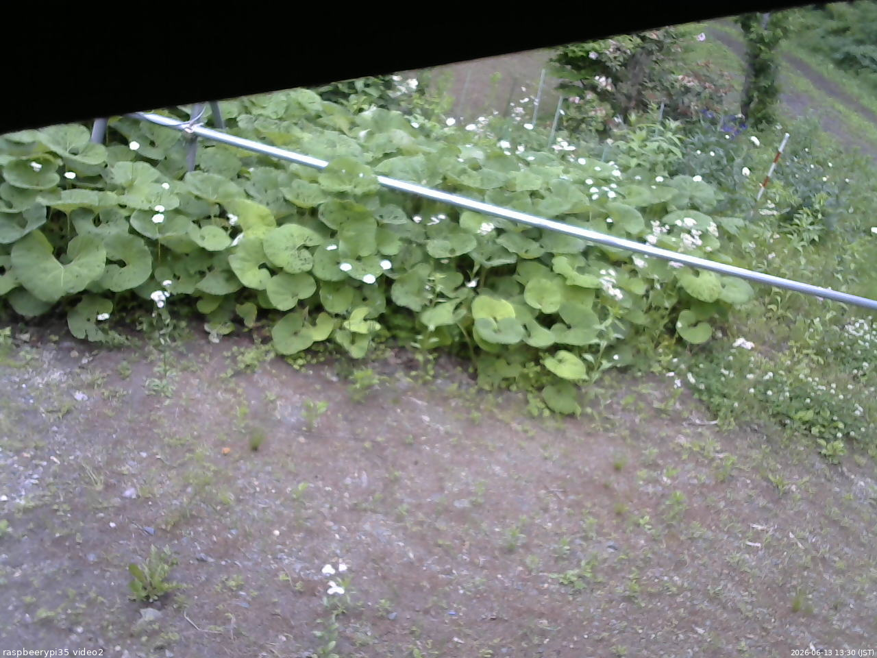長野県菅平高原 ゆたか山荘 駐車場 2026/06/13 13:30