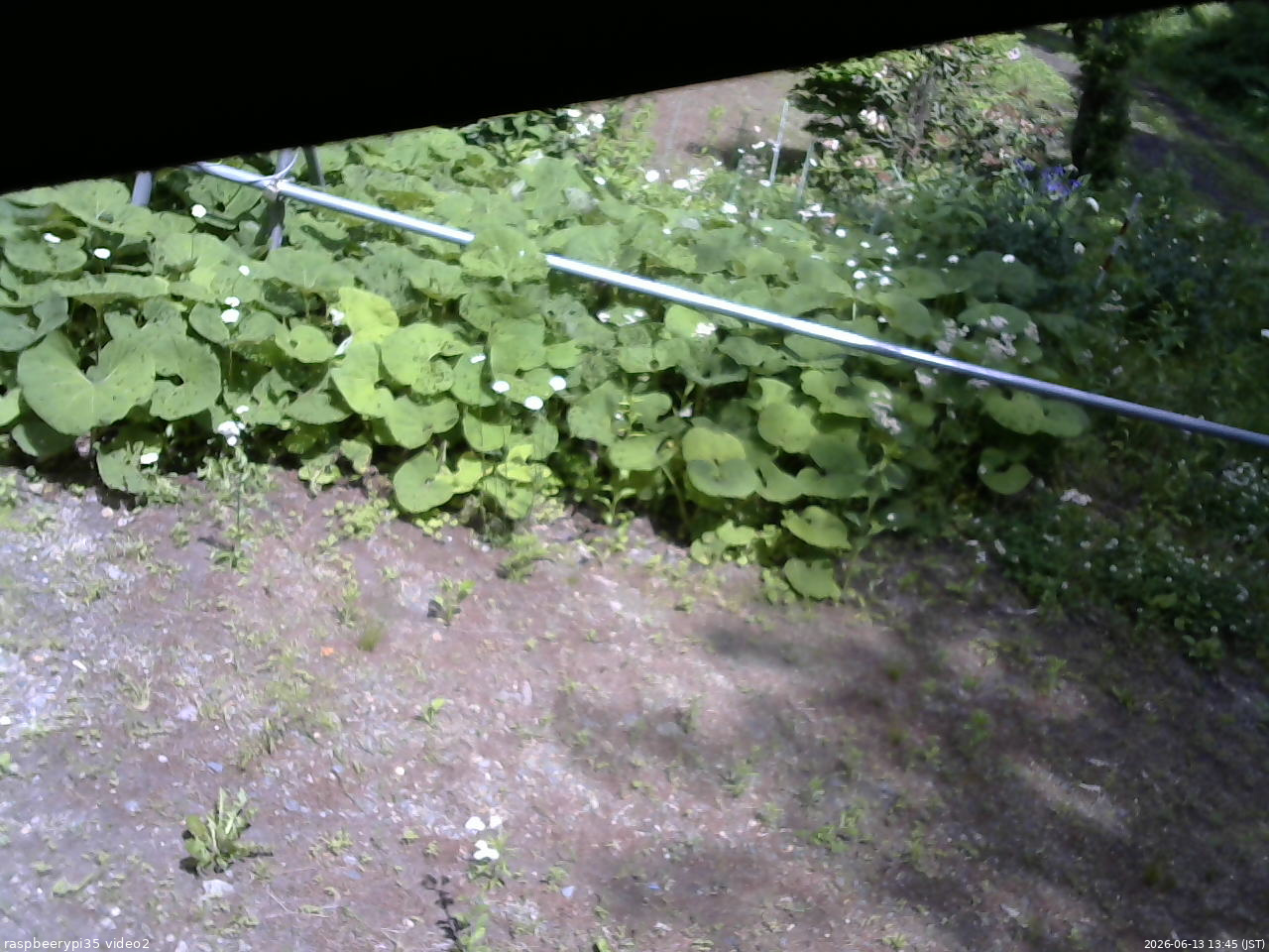 長野県菅平高原 ゆたか山荘 駐車場 2026/06/13 13:45